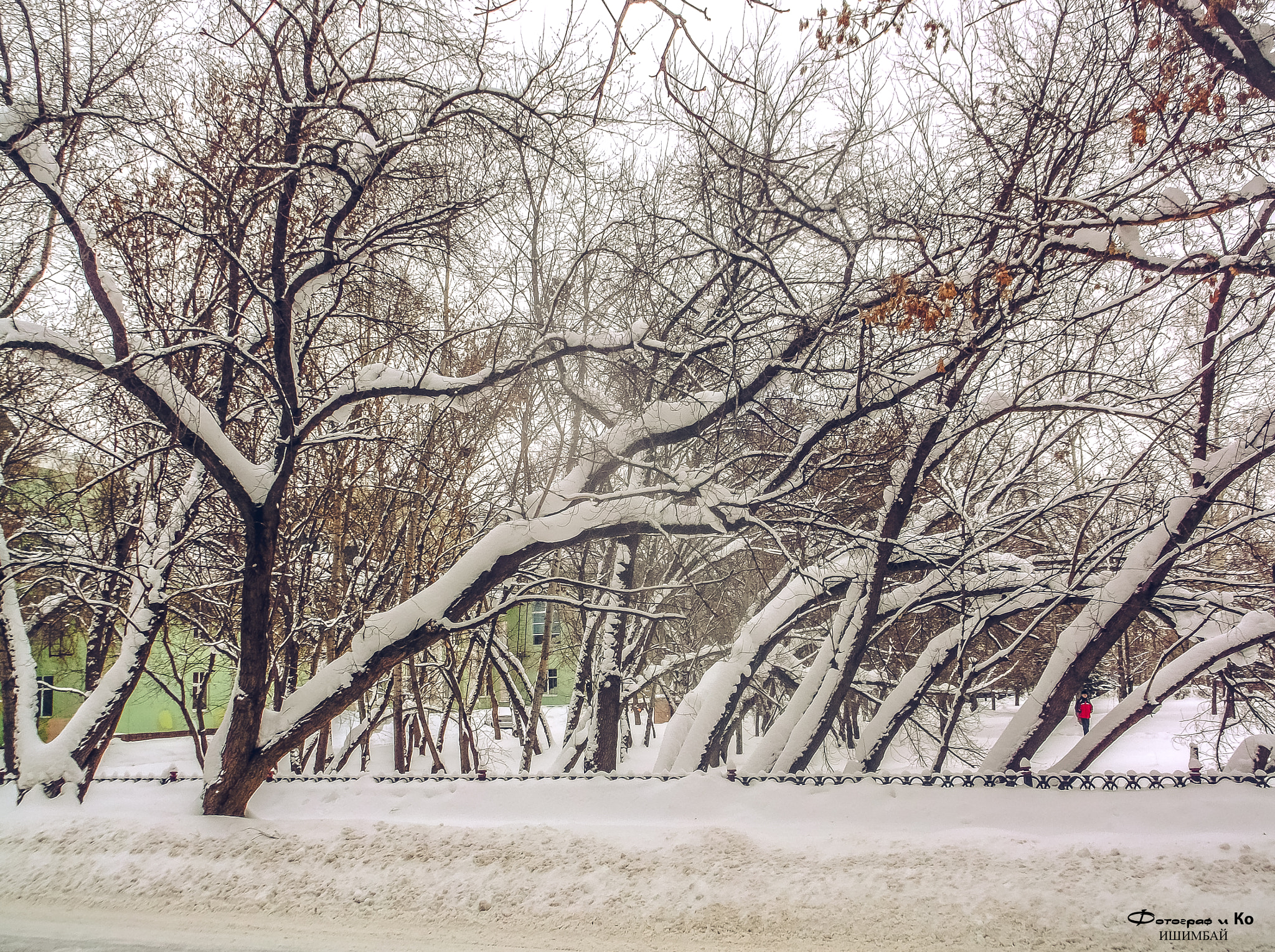 Fujifilm FinePix AX650 sample photo. Under snow photography