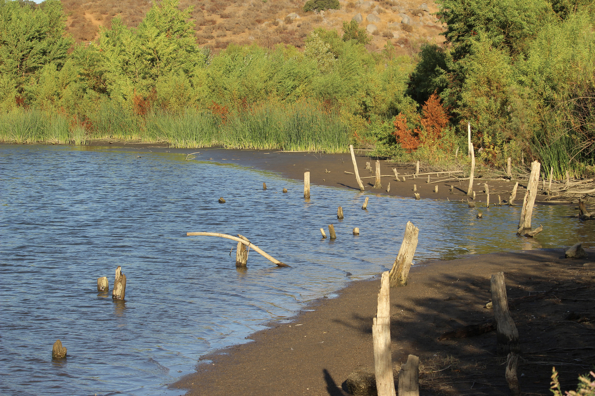 Canon EOS 100D (EOS Rebel SL1 / EOS Kiss X7) sample photo. Lake hodges photography