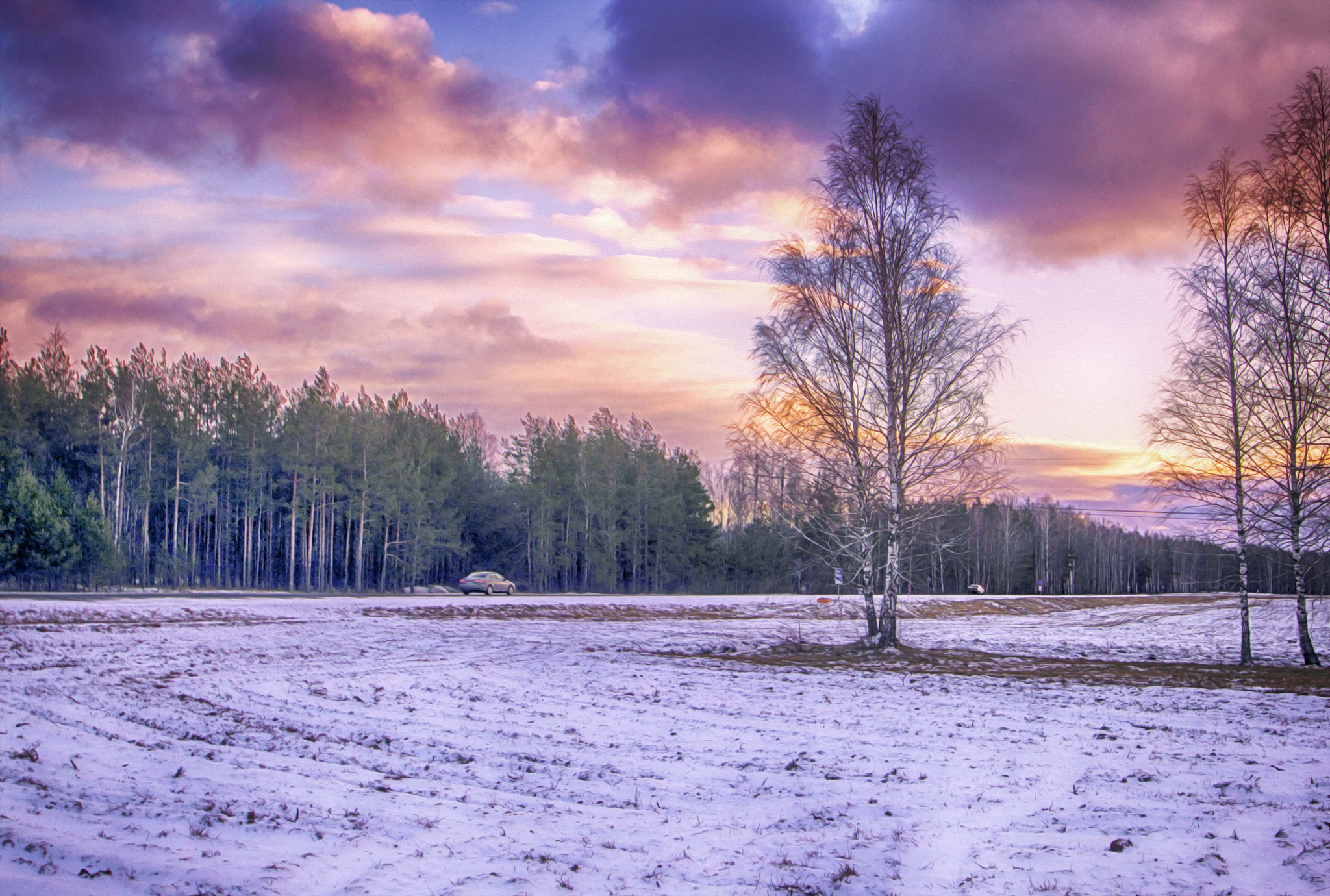 Nikon D3200 sample photo. Береза около дороги photography