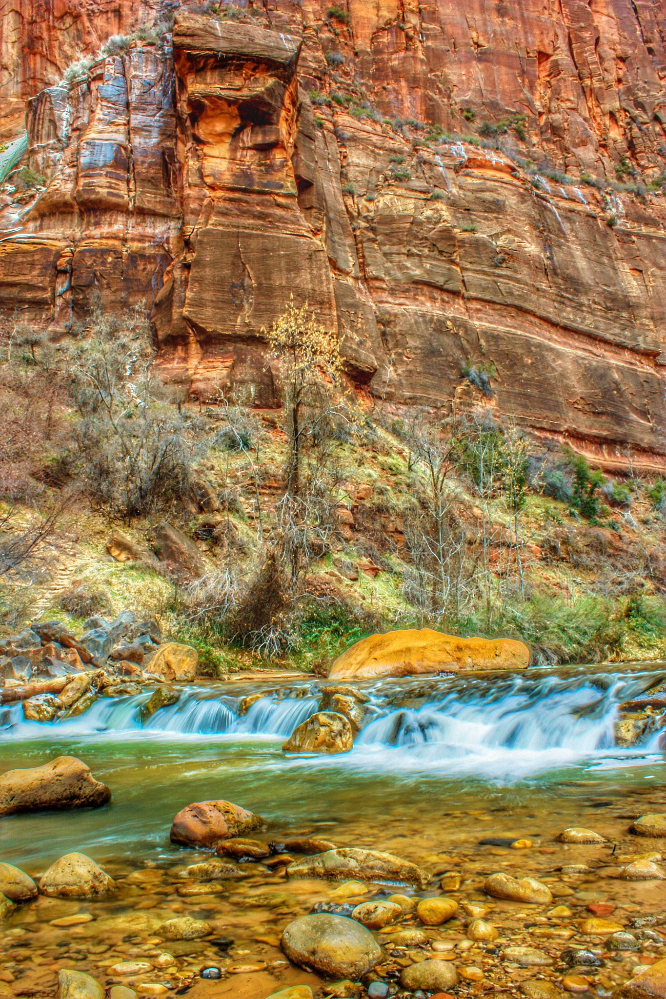Canon EOS 450D (EOS Rebel XSi / EOS Kiss X2) sample photo. Zion national park river photography