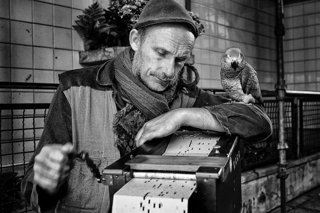 Olympus OM-D E-M5 + Olympus M.Zuiko Digital 17mm F1.8 sample photo. The sad street musician photography