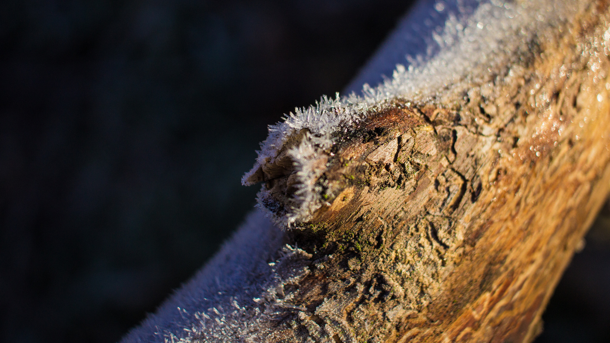 Canon EF-S 24mm F2.8 STM sample photo. Img photography