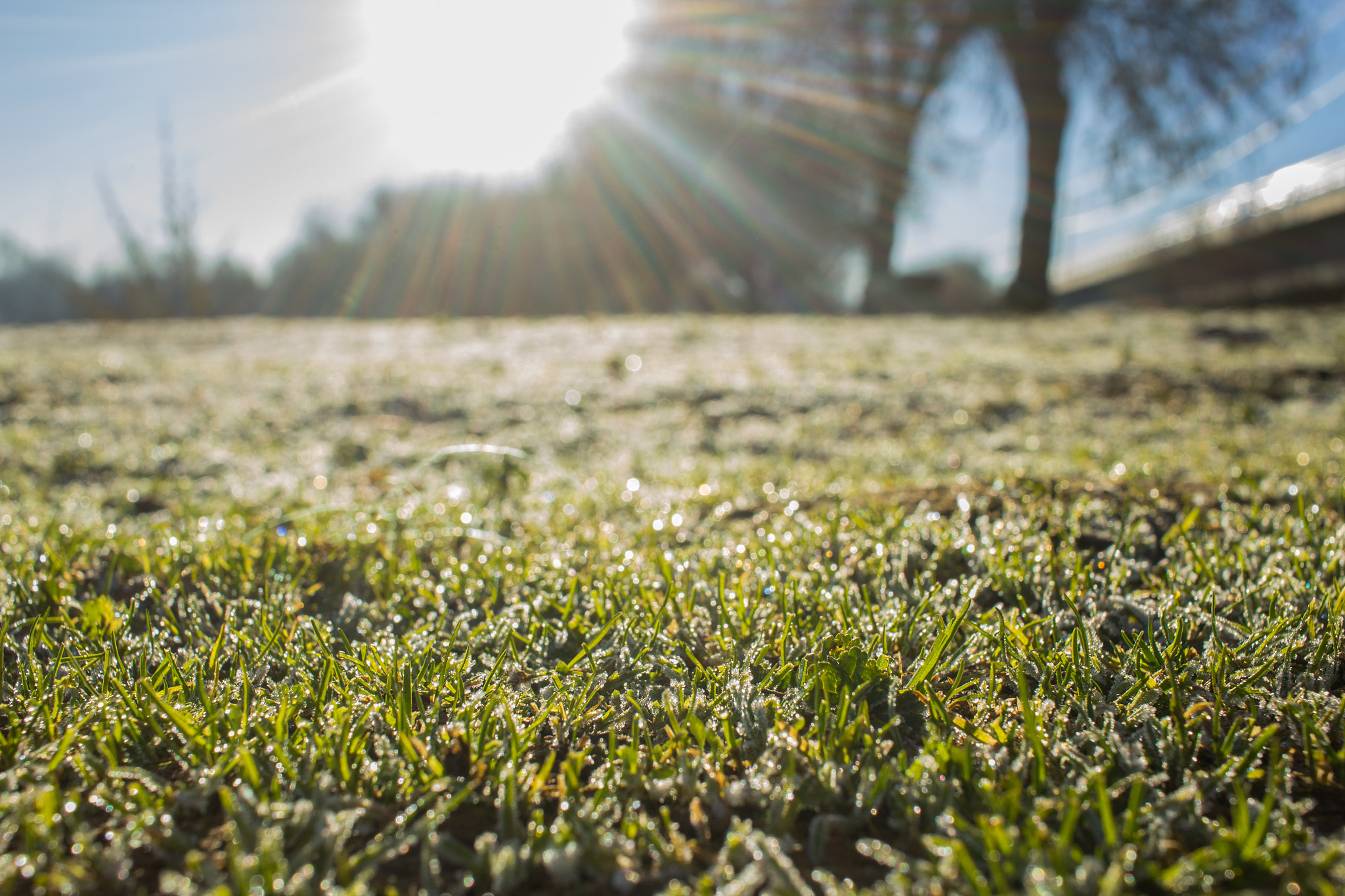 Canon EF-S 24mm F2.8 STM sample photo. Img photography