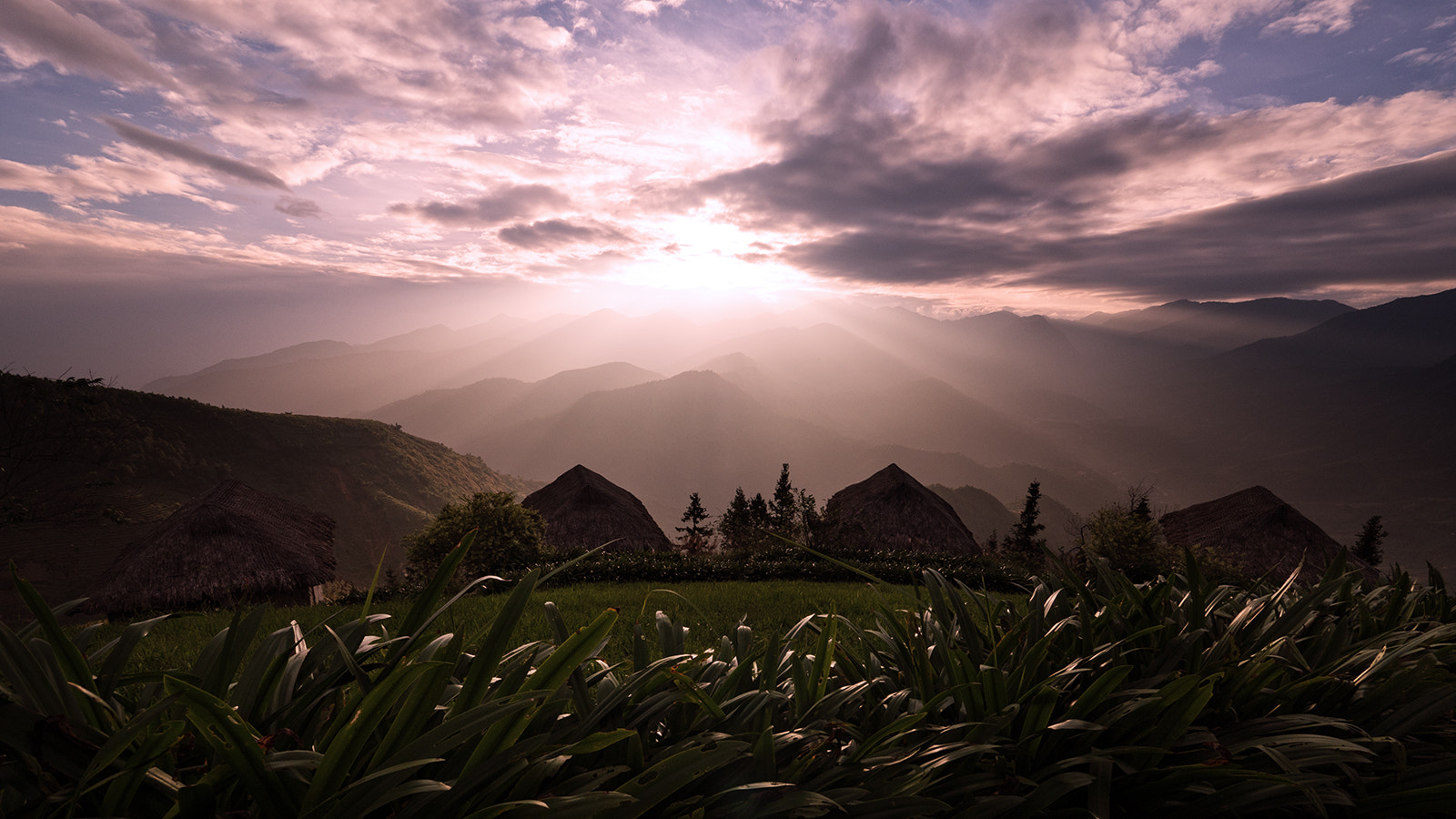 Olympus PEN-F + Panasonic Lumix G Vario 7-14mm F4 ASPH sample photo. Sunrise over hoang lien photography