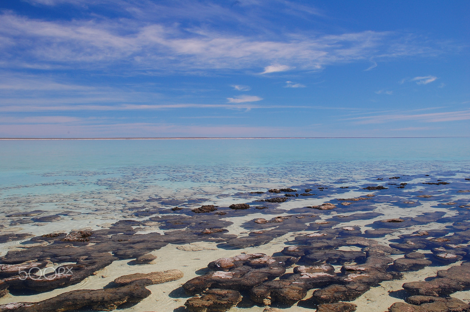 Nikon D40 sample photo. Infinity blue photography