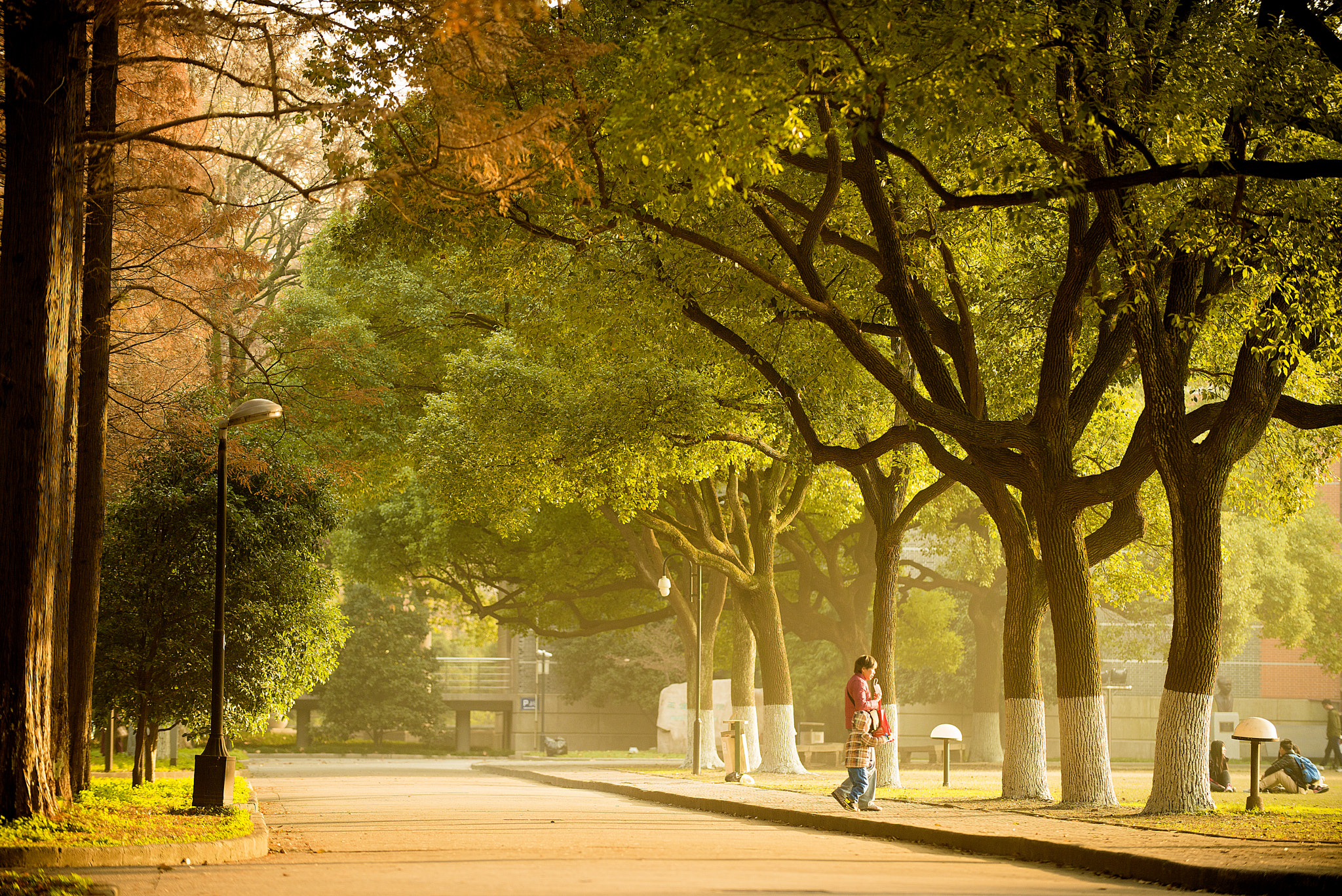 Nikon D800E sample photo. Mid-autumn campus photography