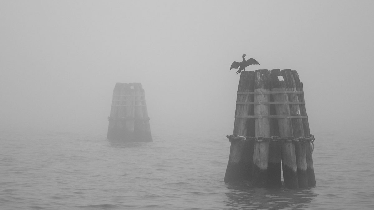 Olympus M.Zuiko Digital ED 75mm F1.8 sample photo. A foggy day in venice photography