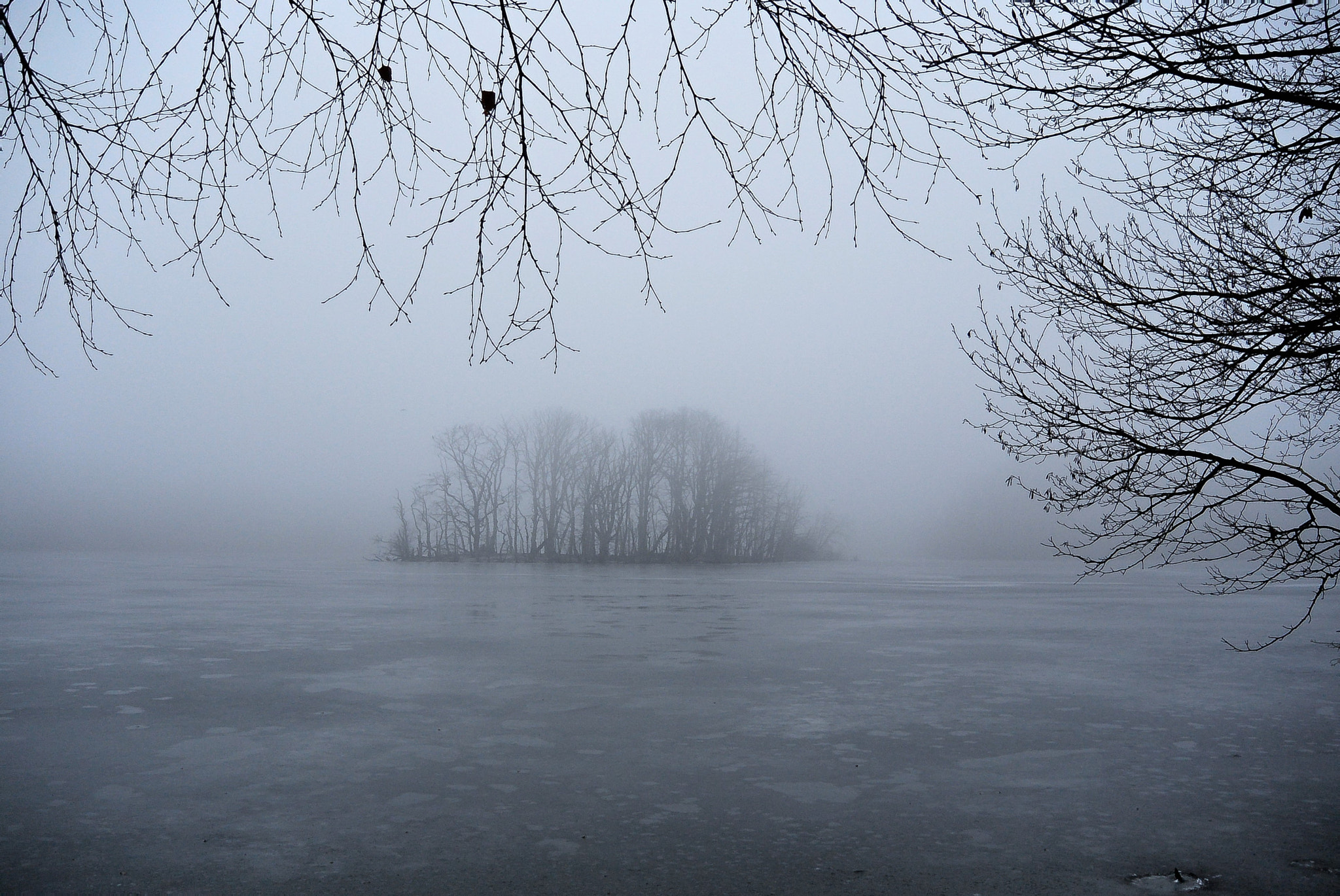 Nikon 1 S1 sample photo. Morning mist... photography