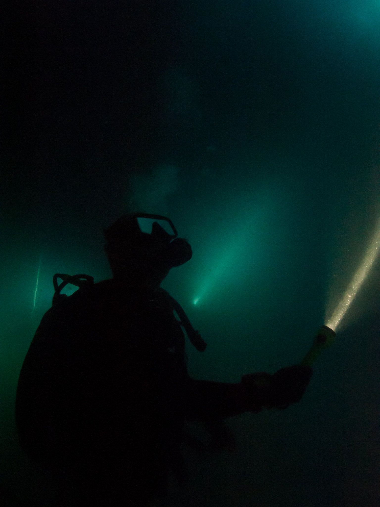 Nikon D700 + Nikon AF Fisheye-Nikkor 16mm F2.8D sample photo. Star wars underwater photography