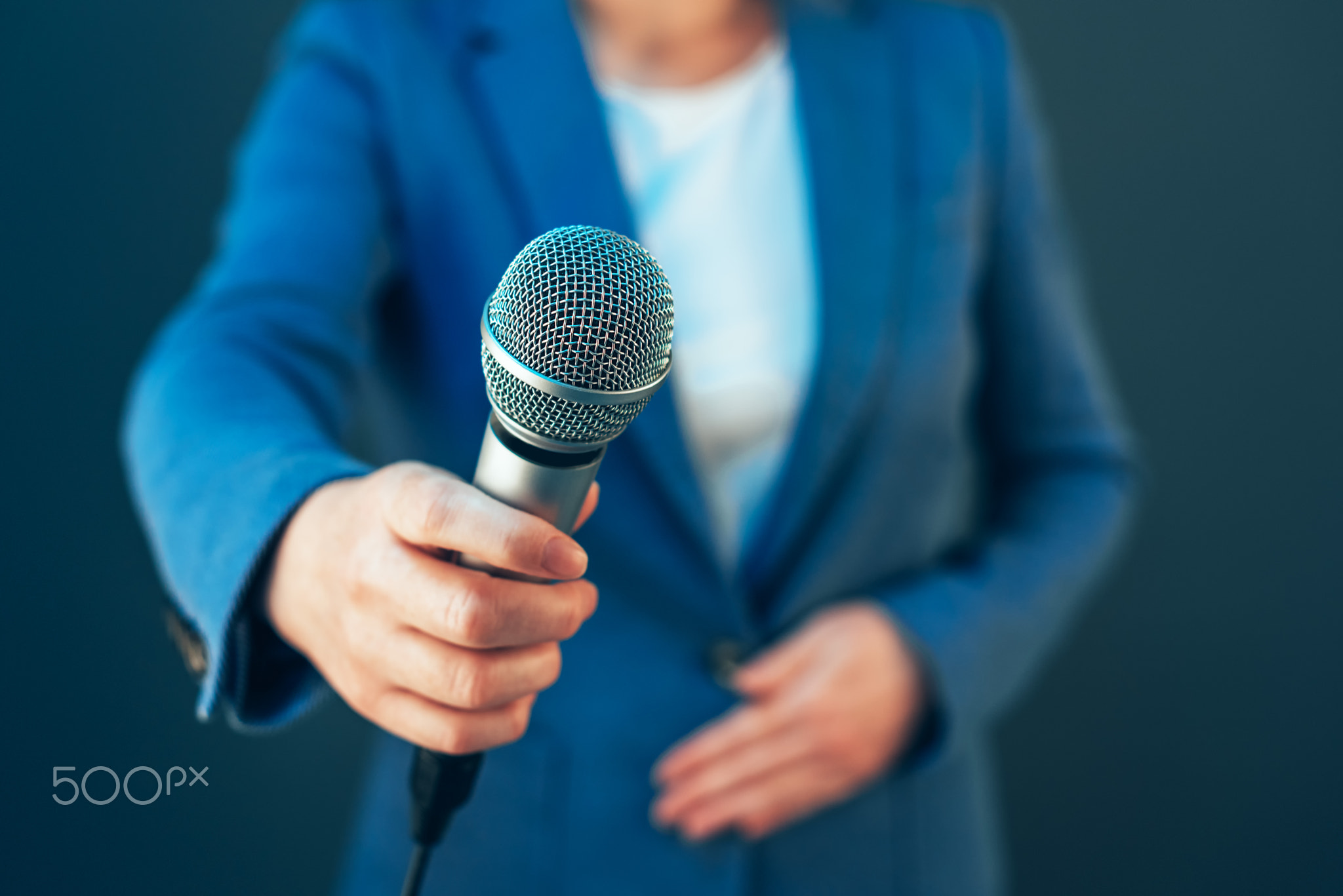 Elegant female journalist conducting business interview or press