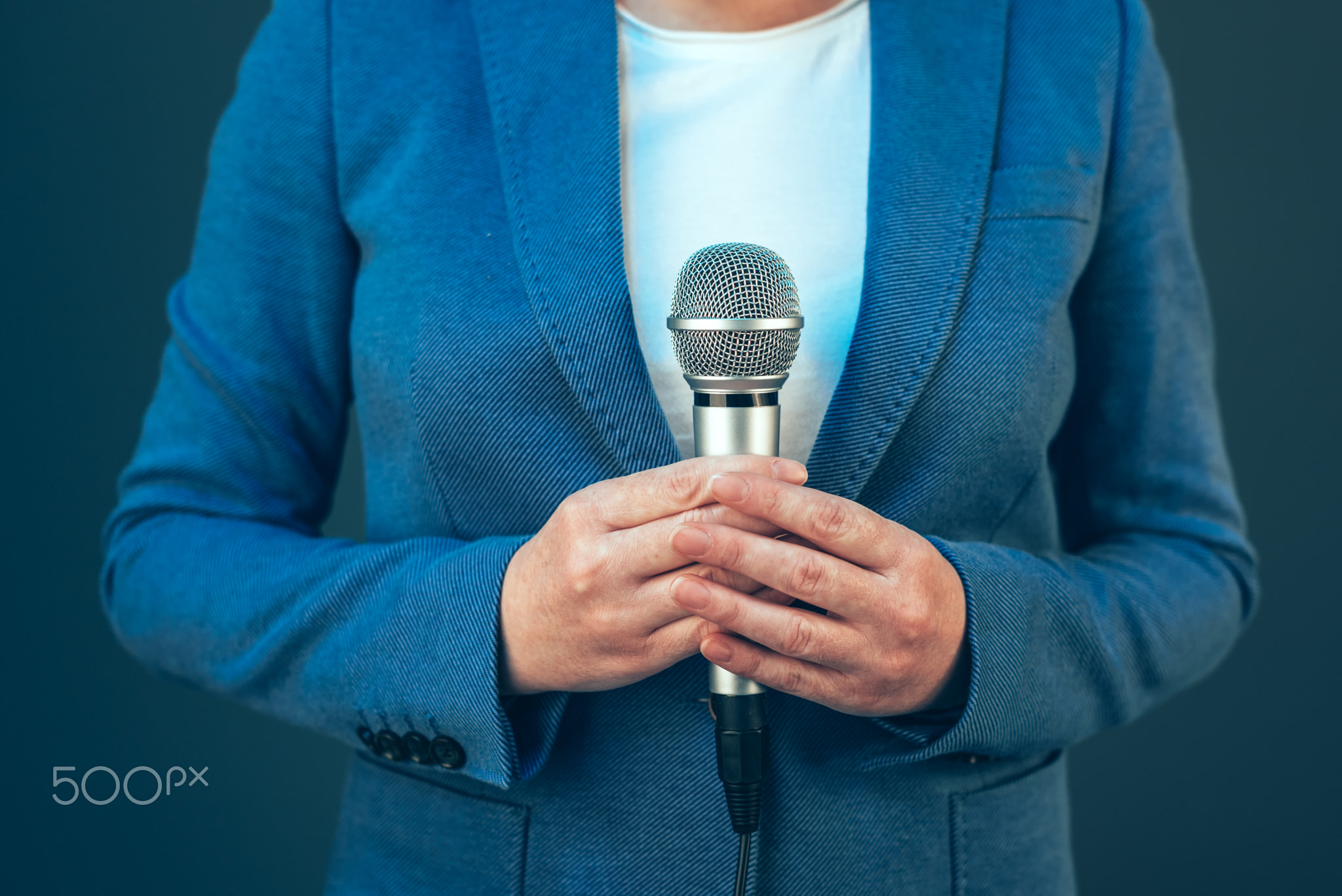 Elegant female journalist conducting business interview or press