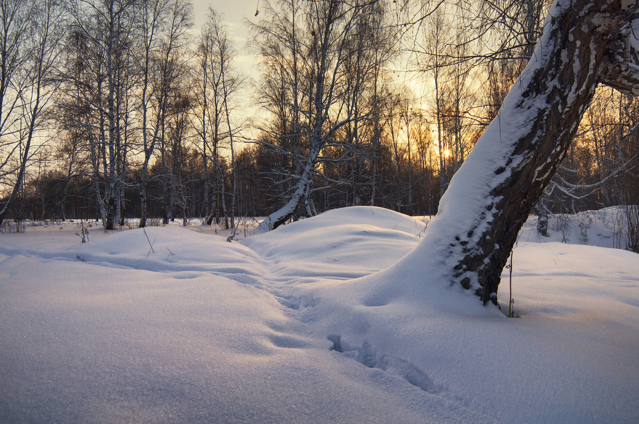 Samyang 14mm F2.8 ED AS IF UMC sample photo. Коротким зимними вечерами/short winter evenings photography