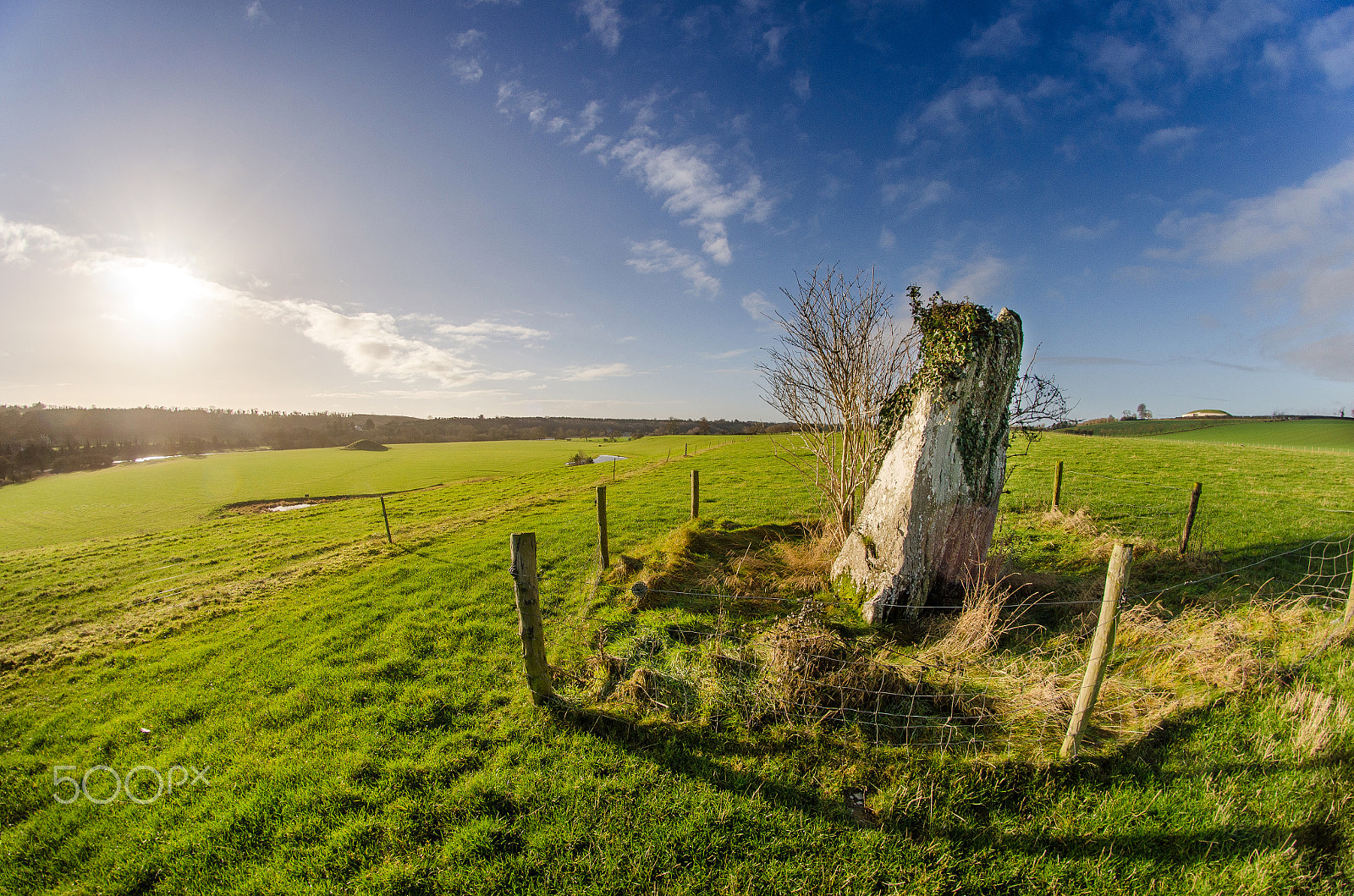 Nikon D7000 sample photo. Newgrange standing stone photography