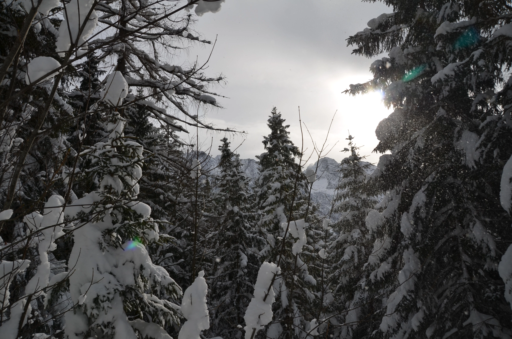 Sigma 18-250mm F3.5-6.3 DC Macro OS HSM sample photo. Blick ins klausbachtal photography