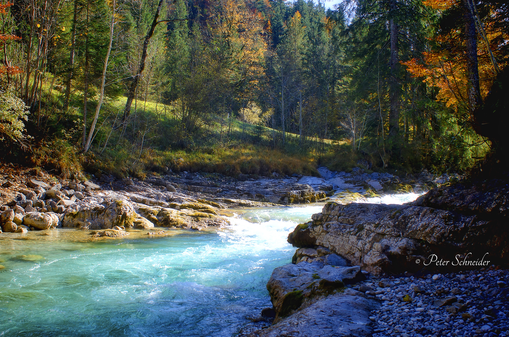 Nikon D7000 + Sigma 28-70mm F2.8 sample photo. Wild noise. photography