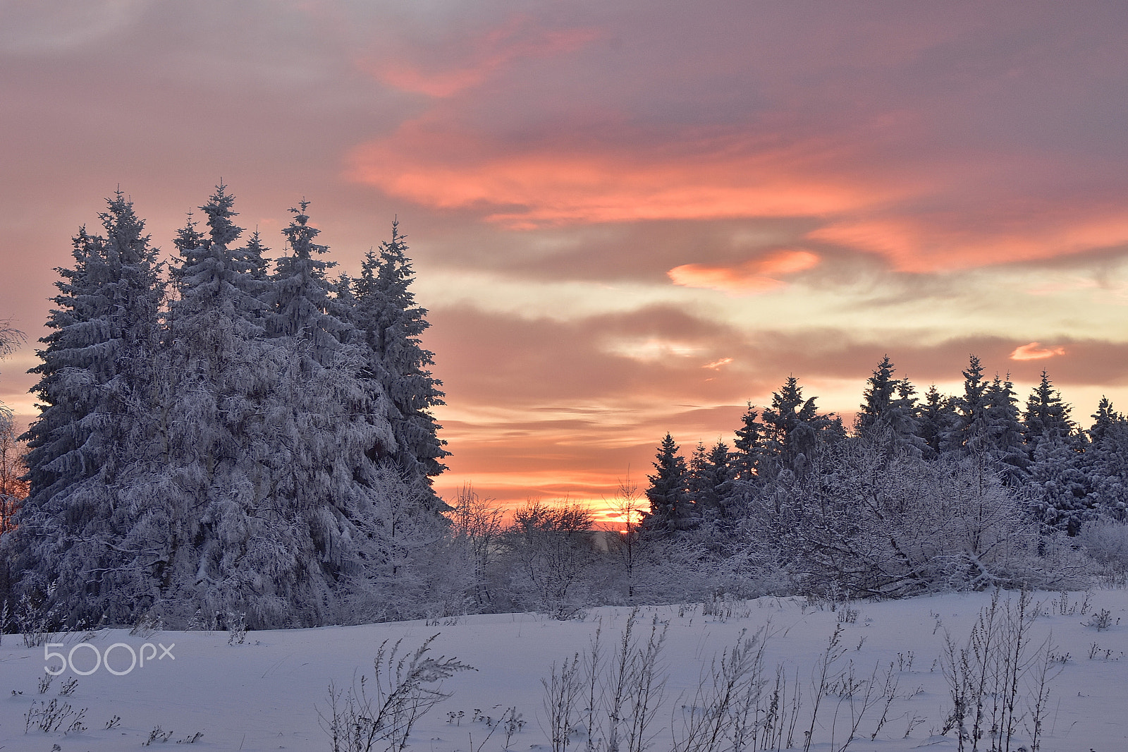 Nikon AF-S Nikkor 24-70mm F2.8G ED sample photo. Vitosha sunset photography