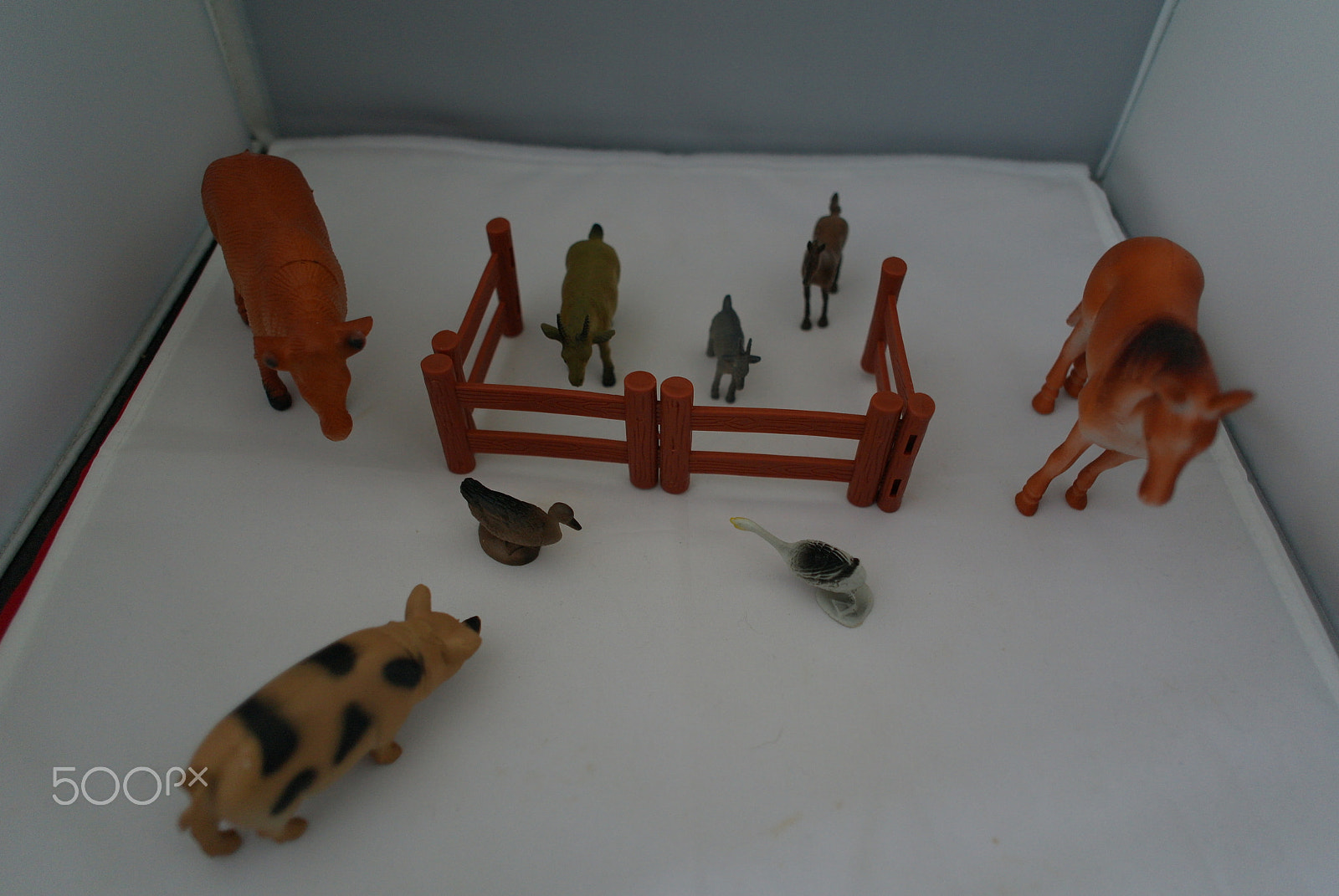 Samsung NX100 sample photo. 32224458835.jpg photography