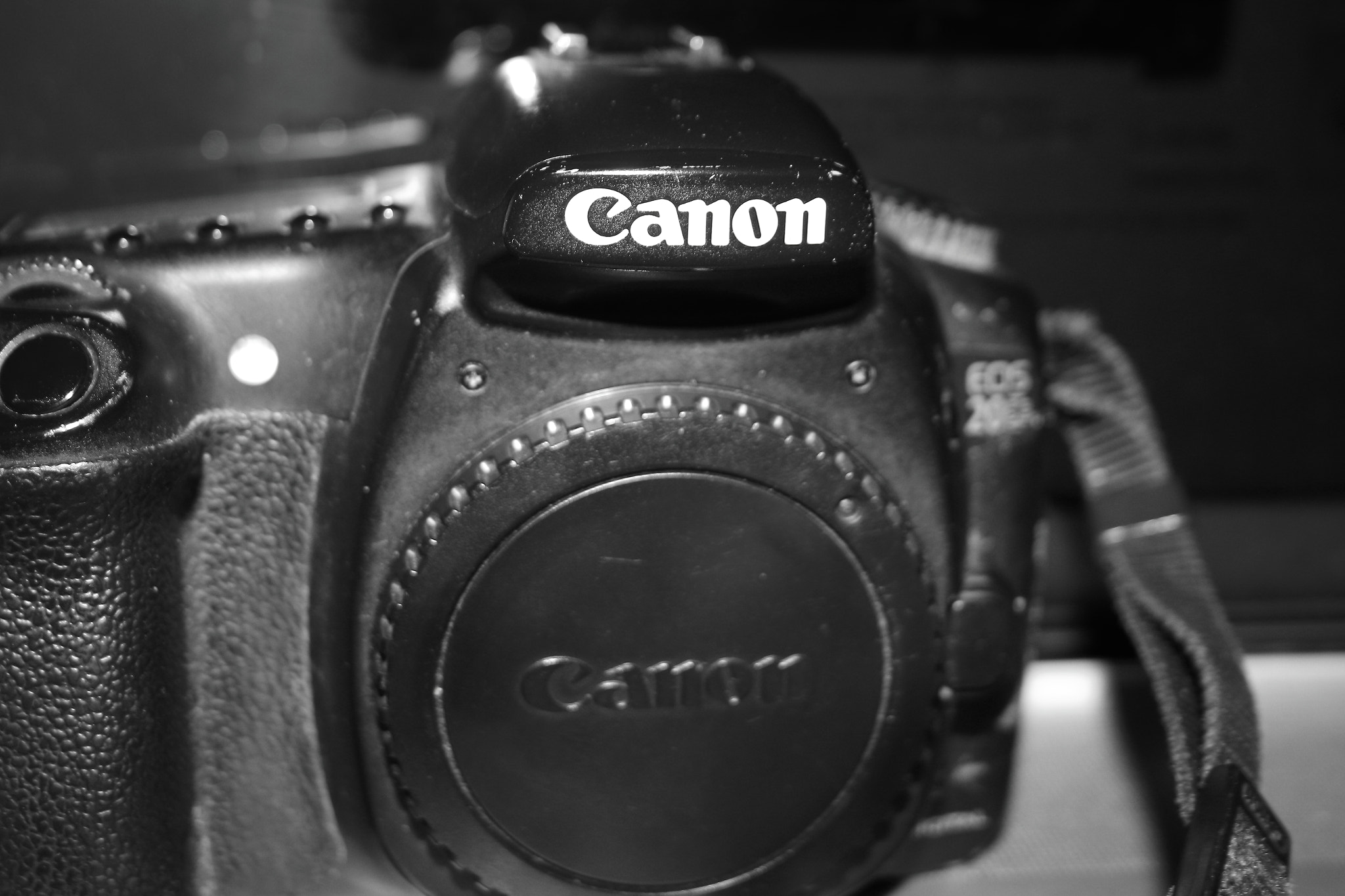 Canon EF-S 18-55mm F3.5-5.6 II sample photo. We had a good run - canon 20d photography