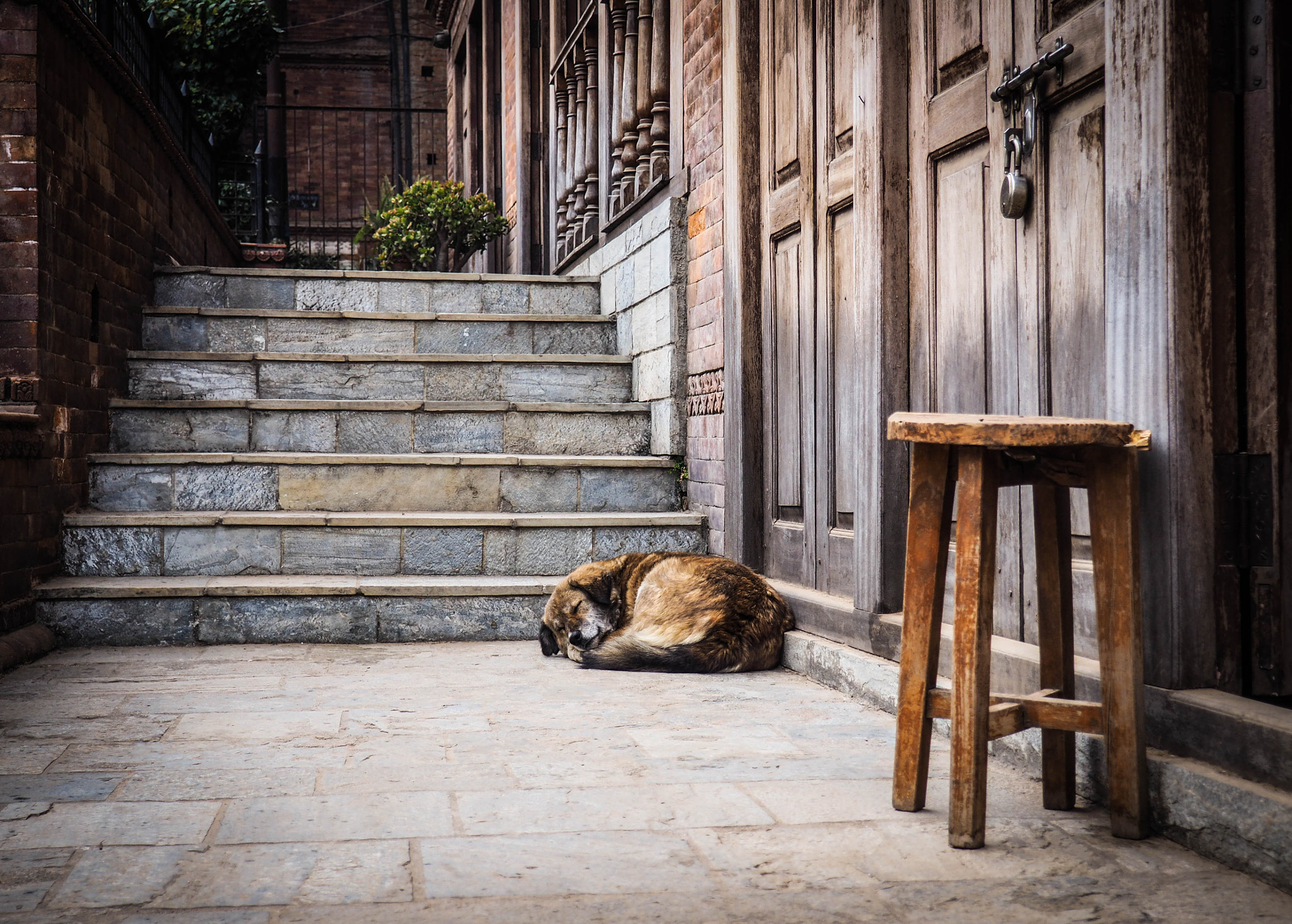 Olympus M.Zuiko Digital 14-42mm F3.5-5.6 II R sample photo. Streets of kathmandu photography