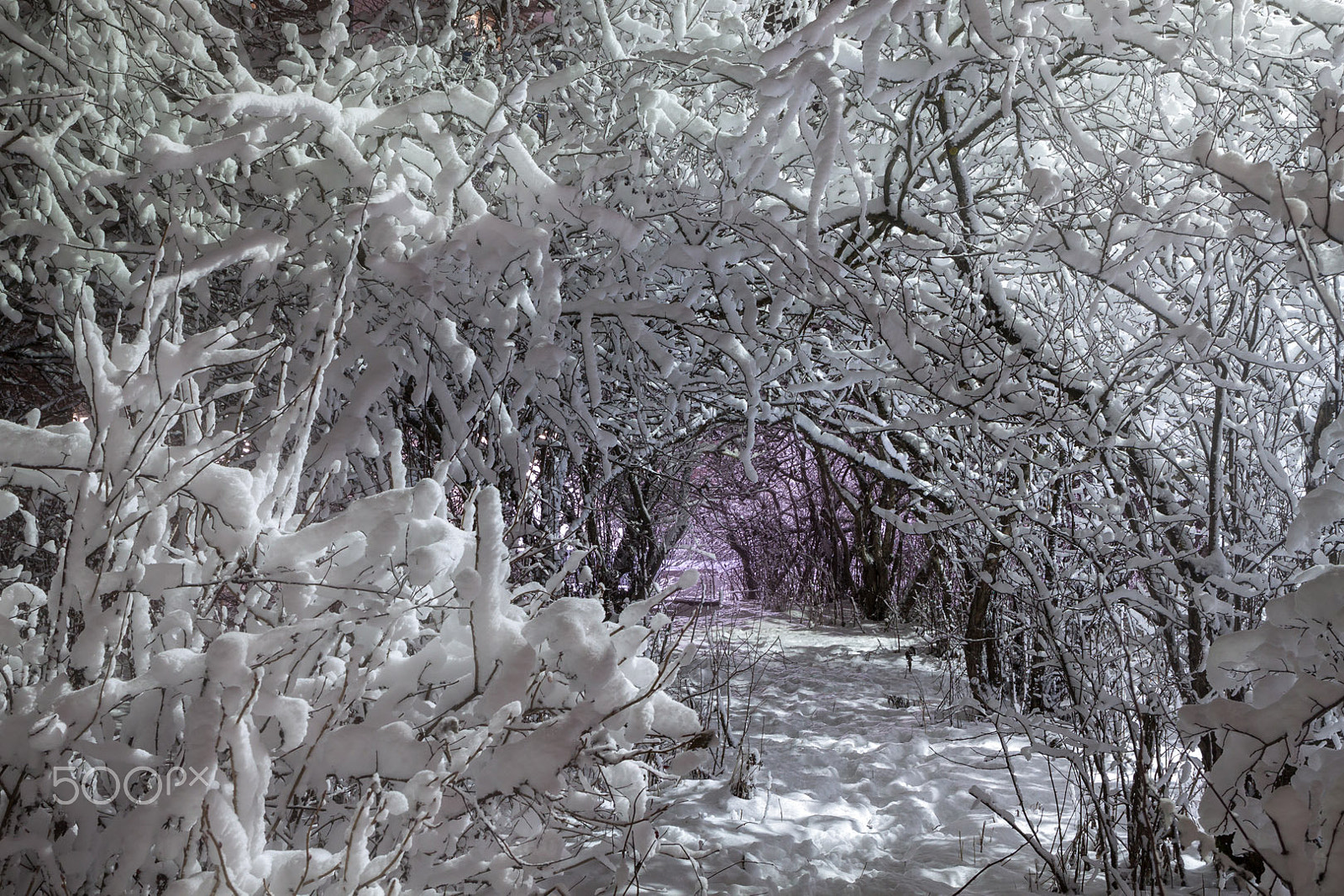 Canon EF-S 17-55mm F2.8 IS USM sample photo. Entrance to fairyland photography