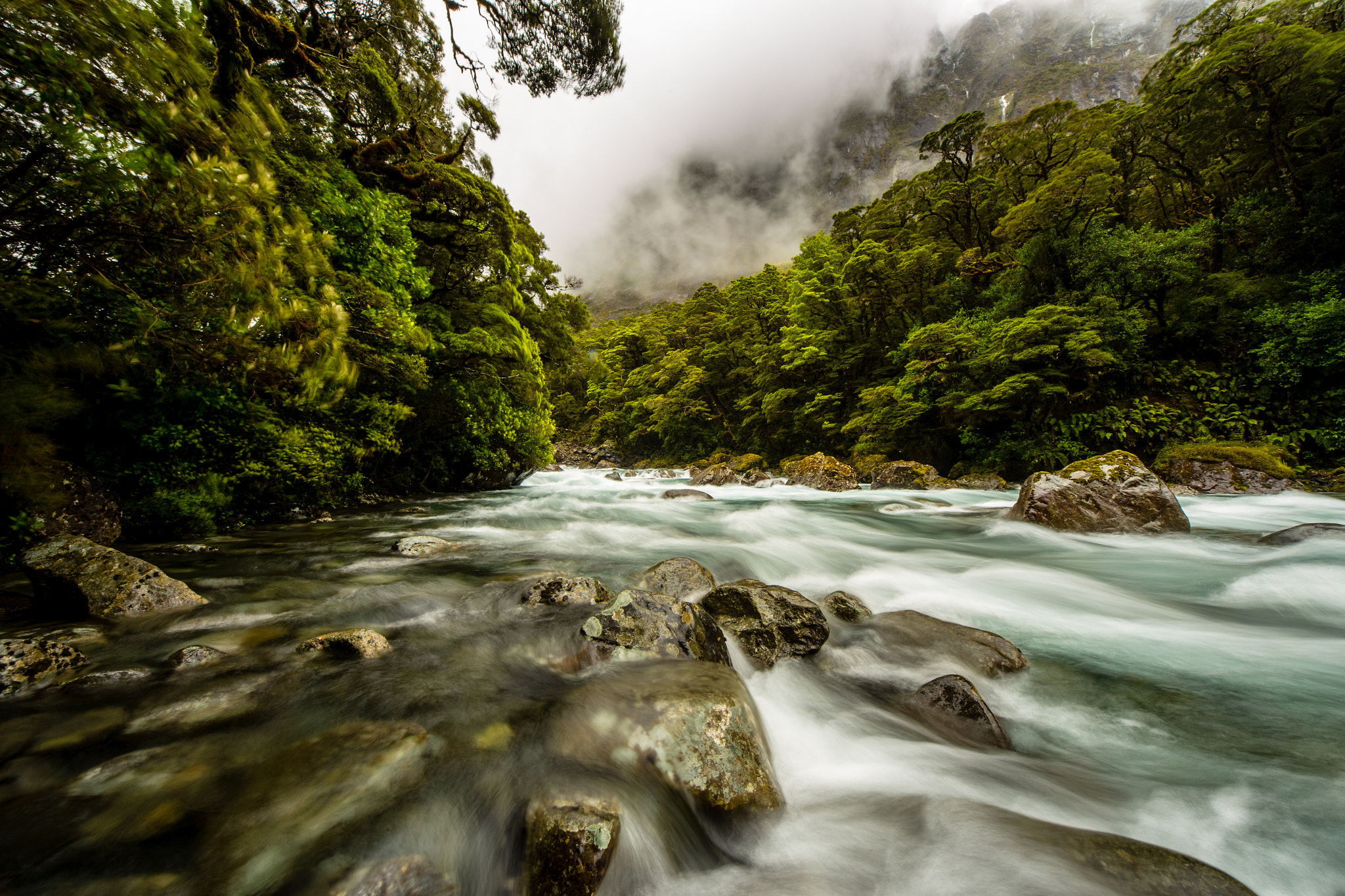 Canon EOS 6D sample photo. Fiordland national park photography