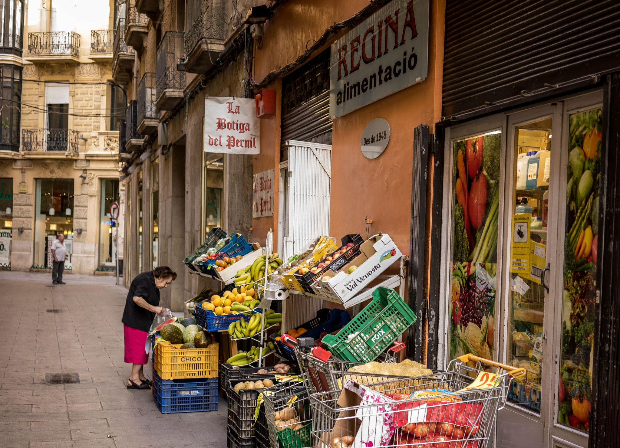 Sony a7R + Sony Sonnar T* FE 35mm F2.8 ZA sample photo. Las frutas y verduras photography