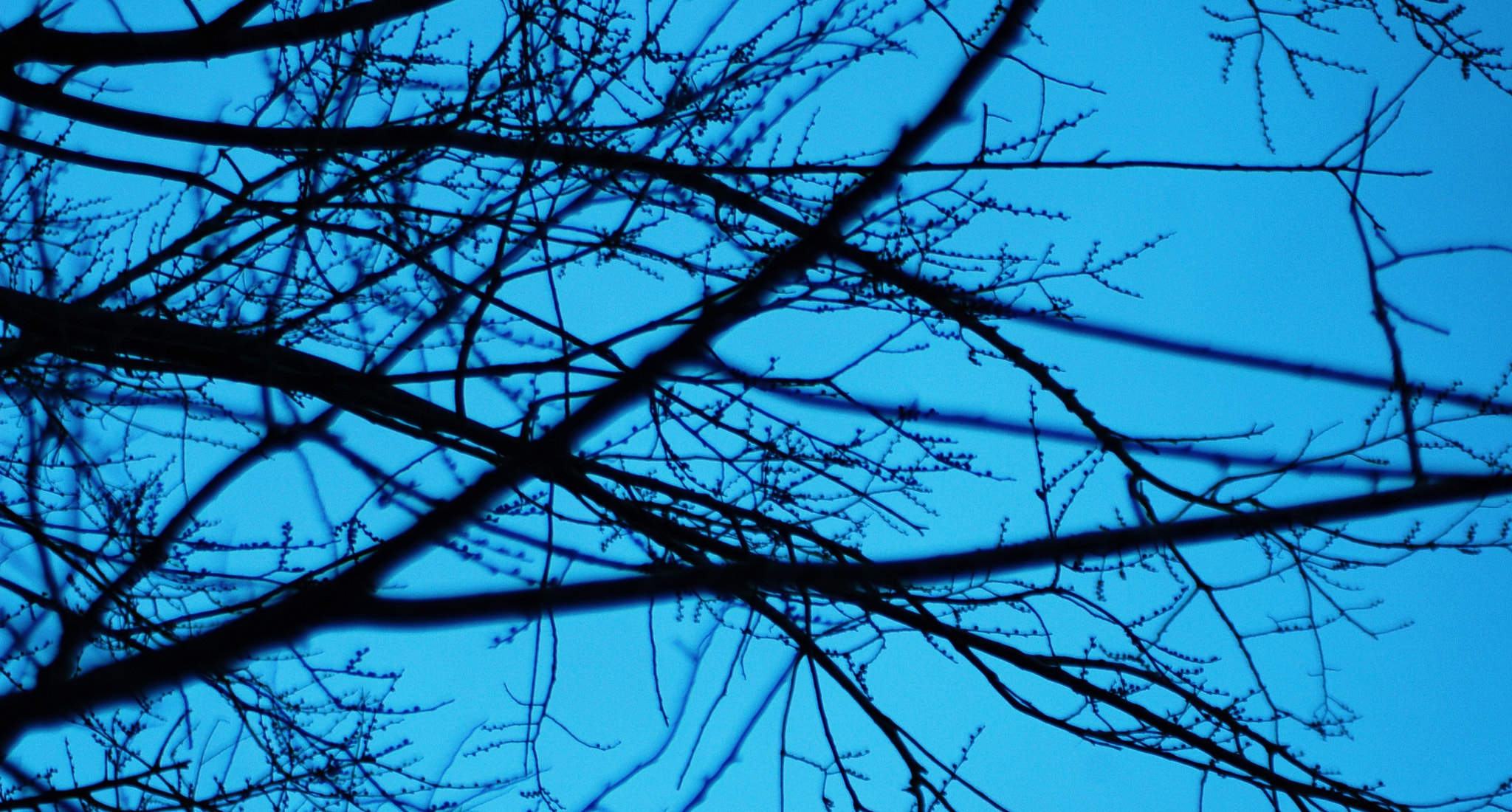 Nikon AF Nikkor 70-300mm F4-5.6G sample photo