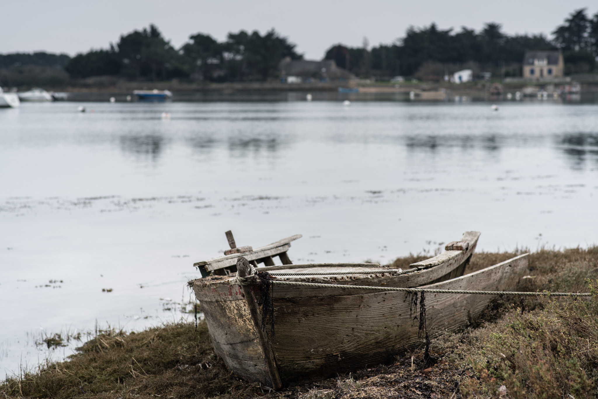 Nikon D750 + Sigma 85mm F1.4 EX DG HSM sample photo. Attache photography