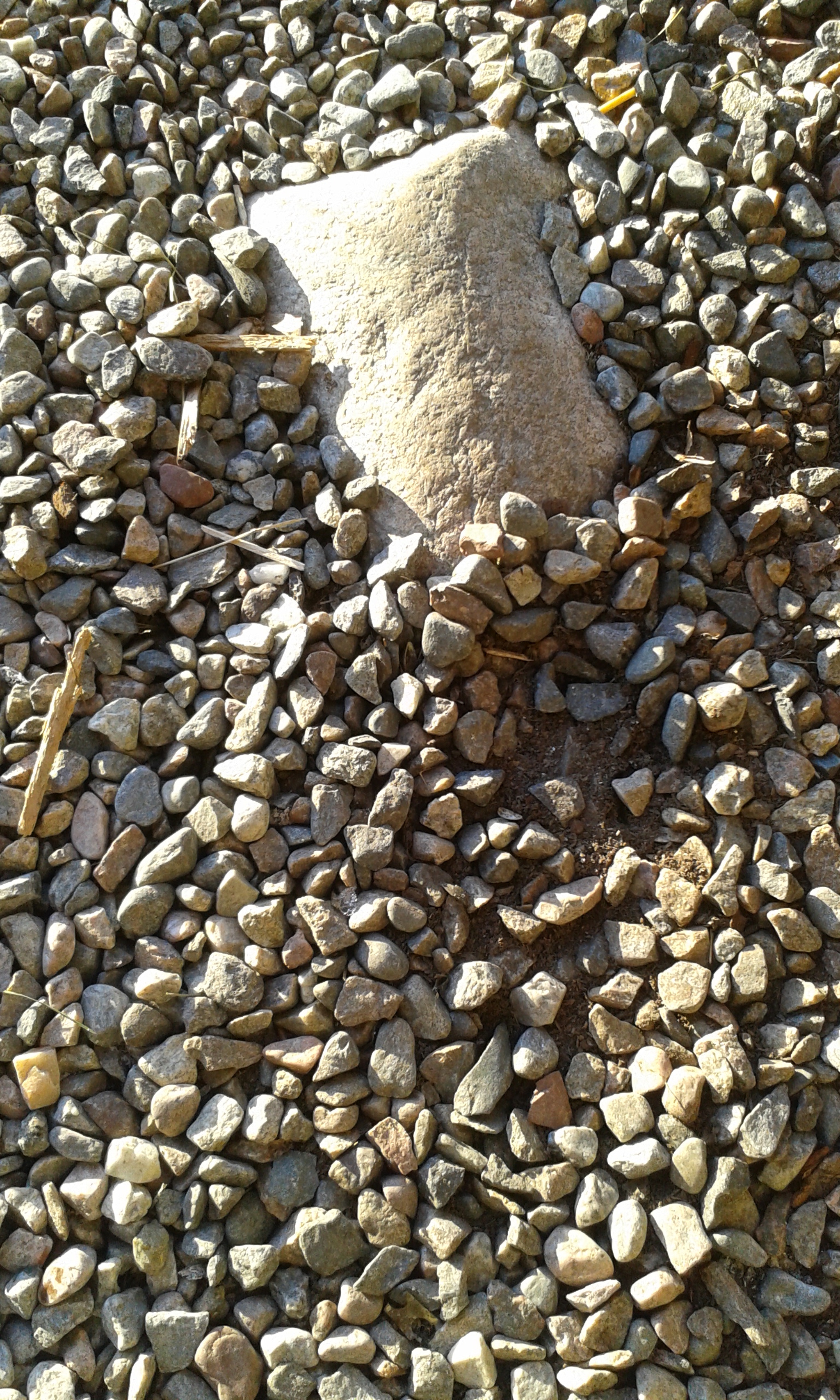 Samsung Galaxy Ace Style sample photo. Stone and breda.  photography