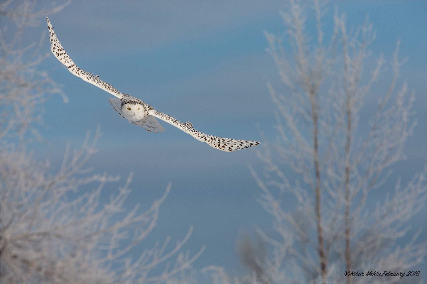 Canon EOS-1D X sample photo. Blue & white. photography