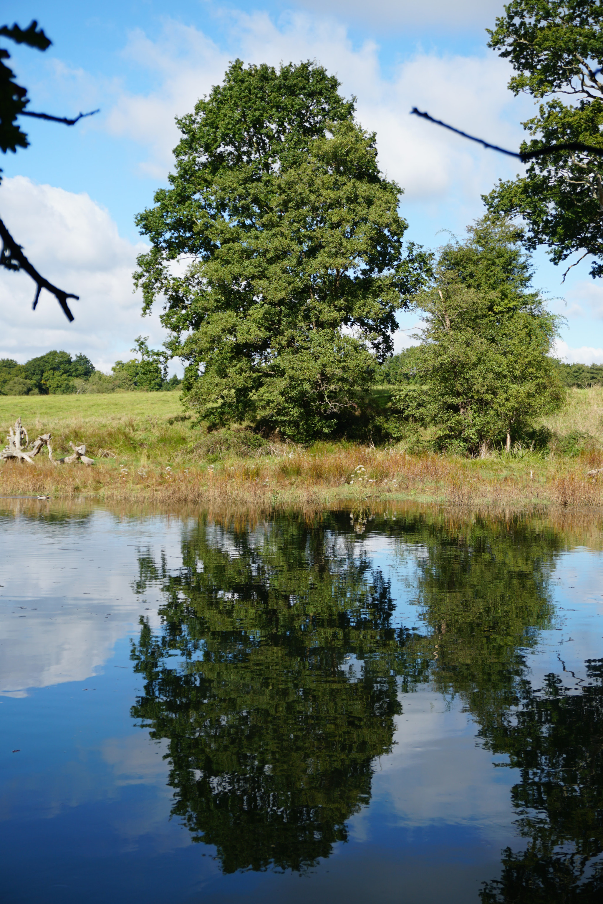 Sony a6300 + Sony E 18-50mm F4-5.6 sample photo. Hamble river photography