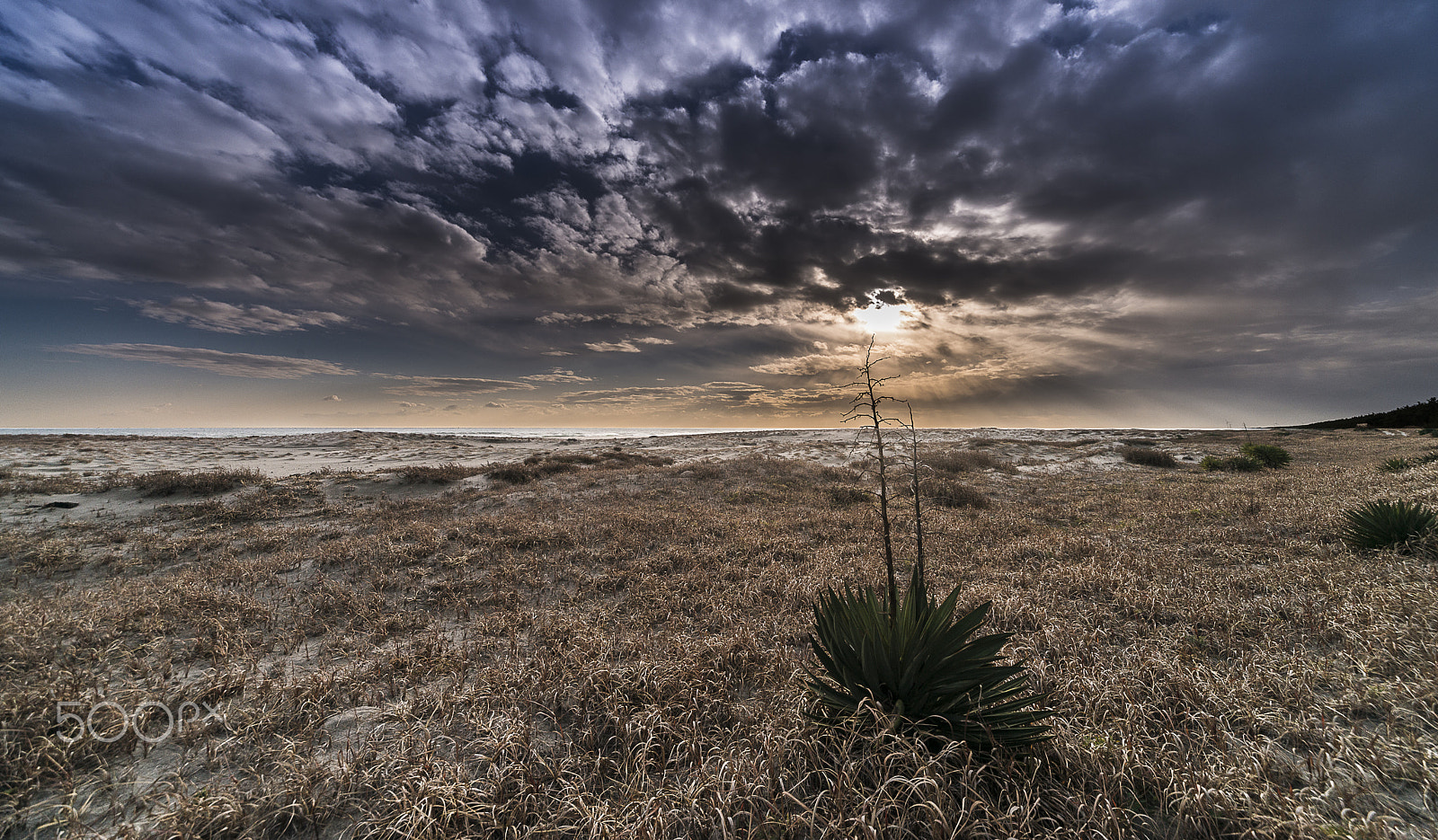 Sigma 12-24mm F4.5-5.6 EX DG Aspherical HSM sample photo. Winter coast photography