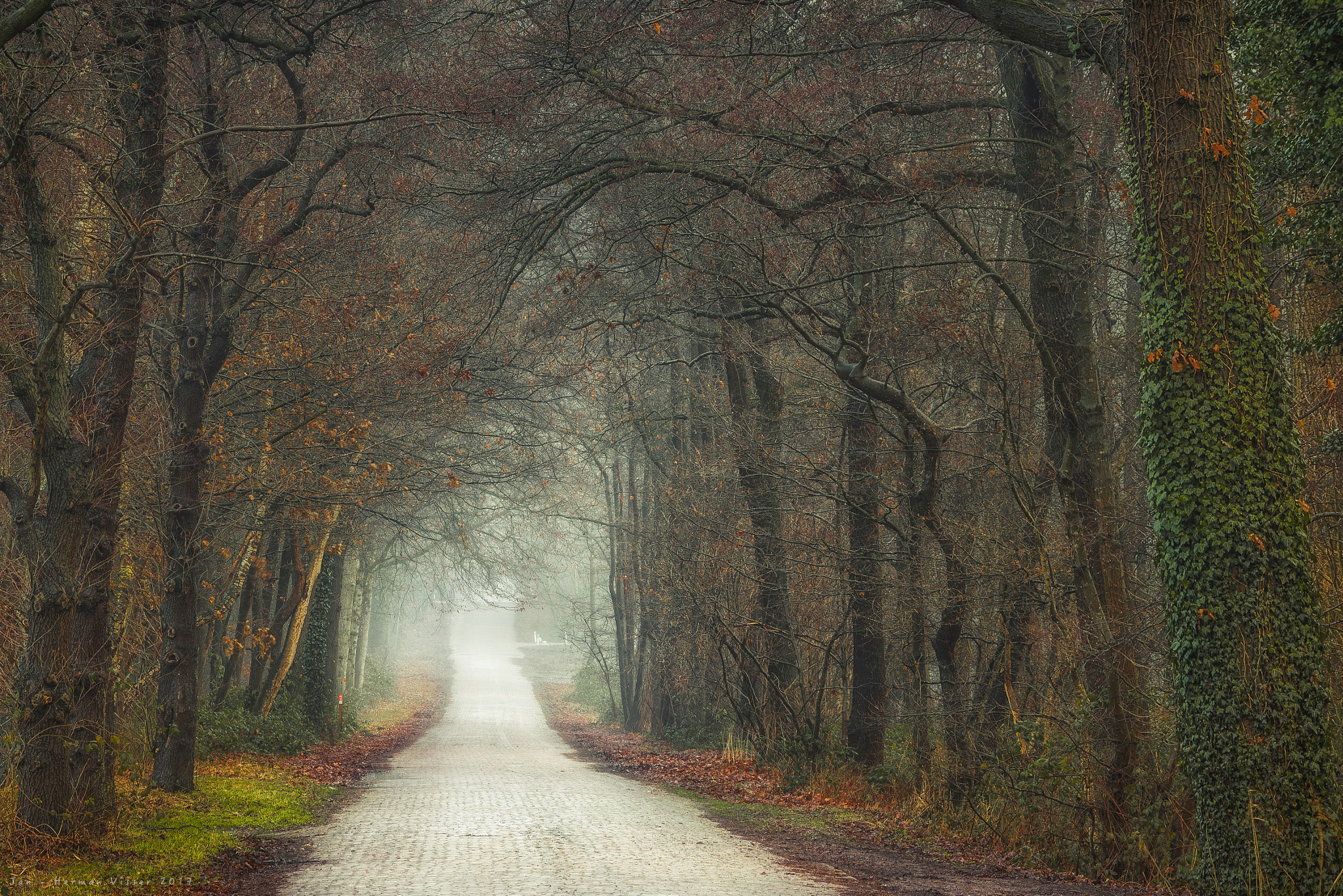 Canon EF 50-200mm f/3.5-4.5 sample photo. Running up that hill... photography