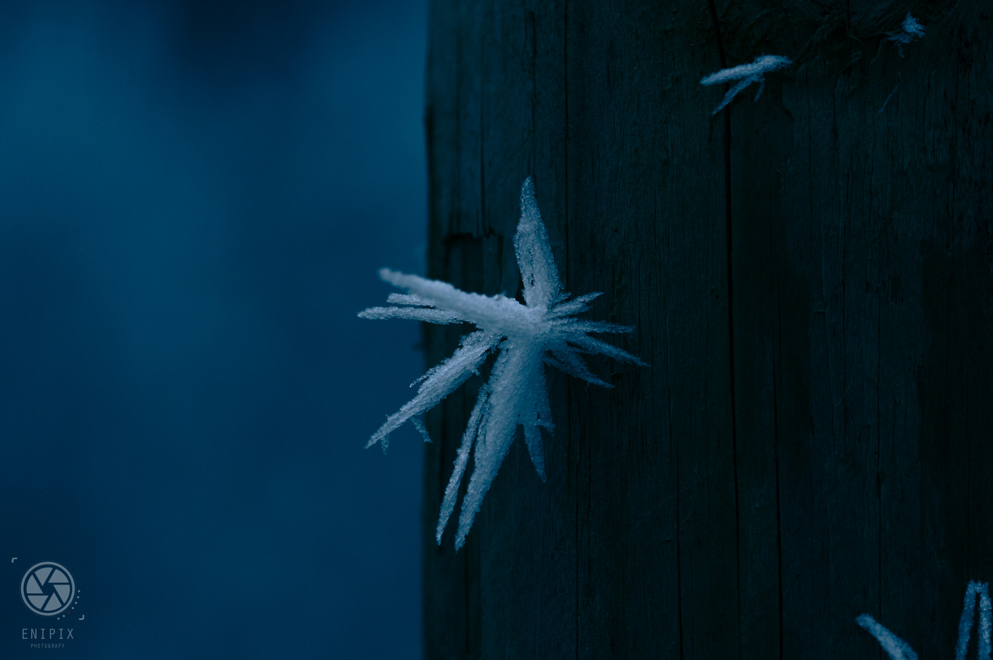 Pentax K-3 II + Sigma sample photo. Frozen fog 3 photography