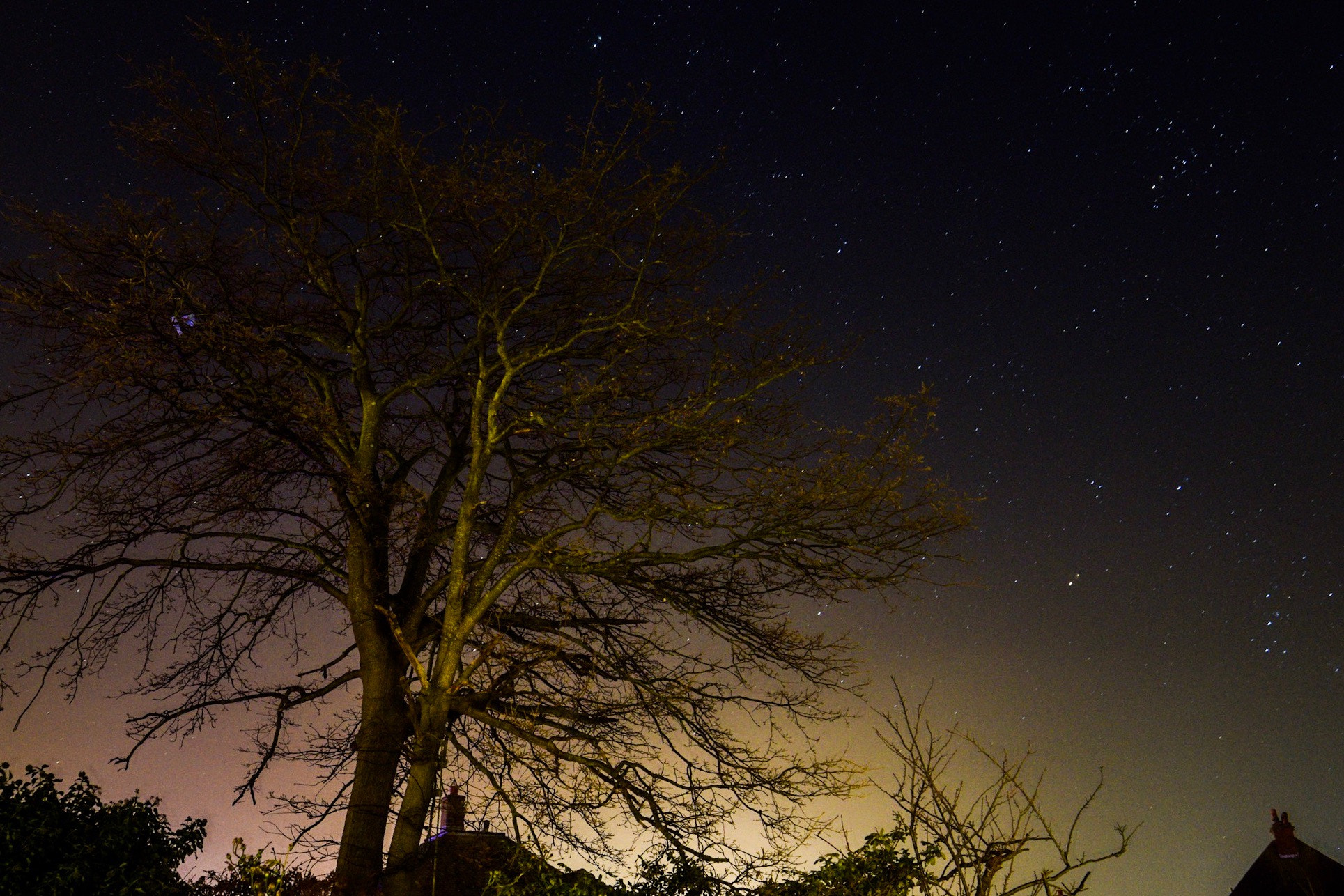 Samyang 14mm F2.8 ED AS IF UMC sample photo