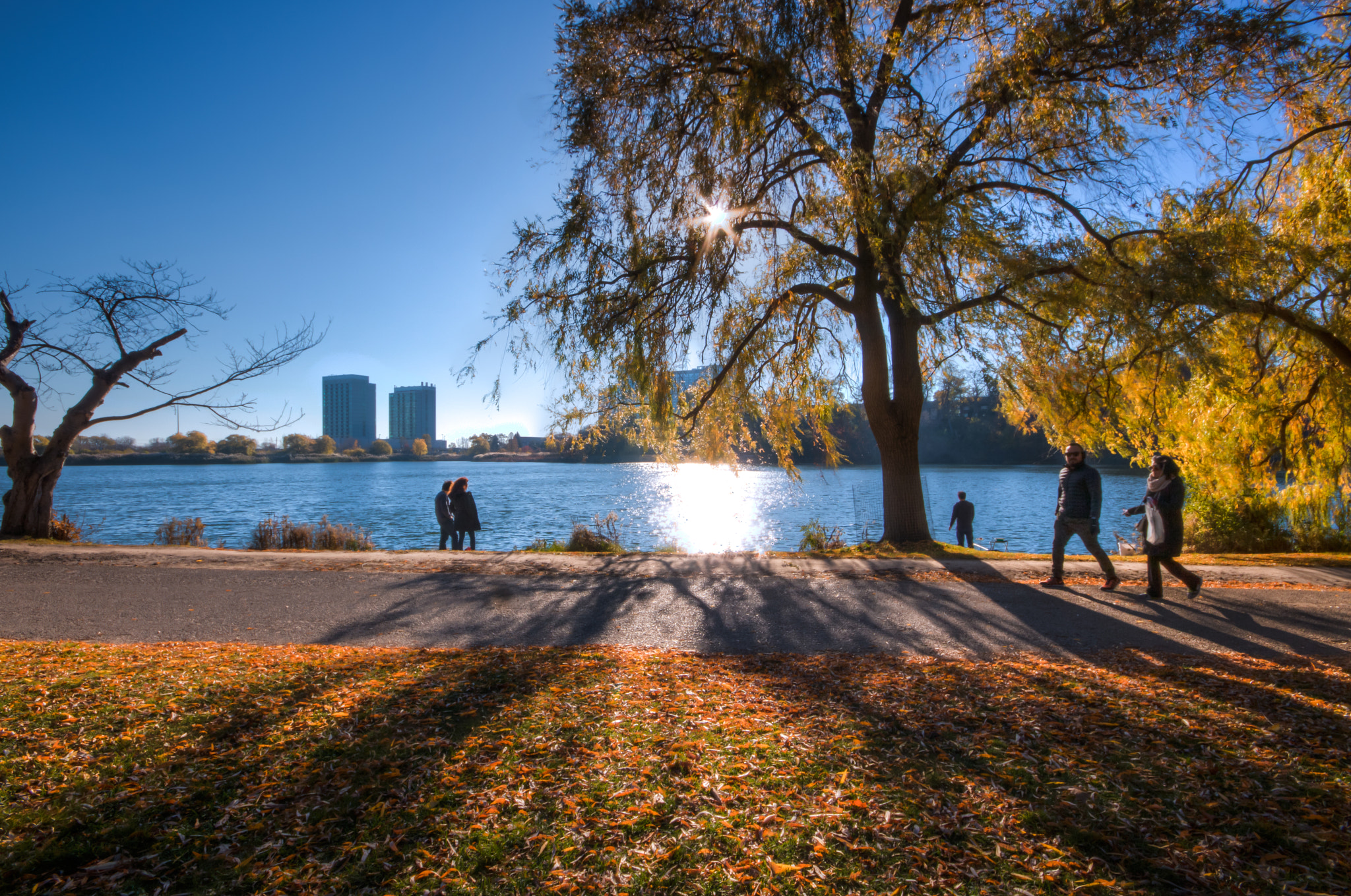 Sigma 10-20mm F4-5.6 EX DC HSM sample photo. High park photography