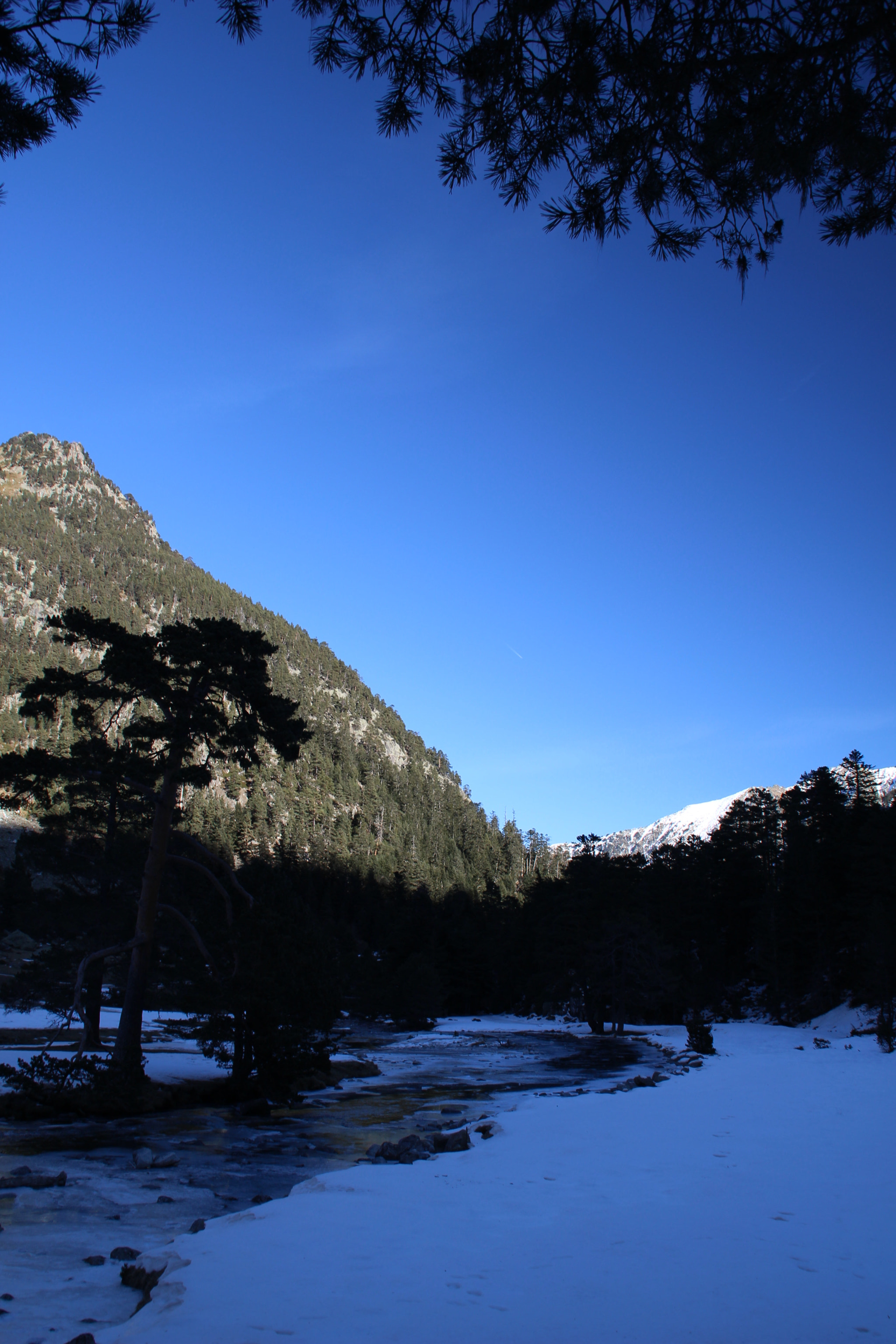 Canon EOS 100D (EOS Rebel SL1 / EOS Kiss X7) sample photo. Blue sky photography