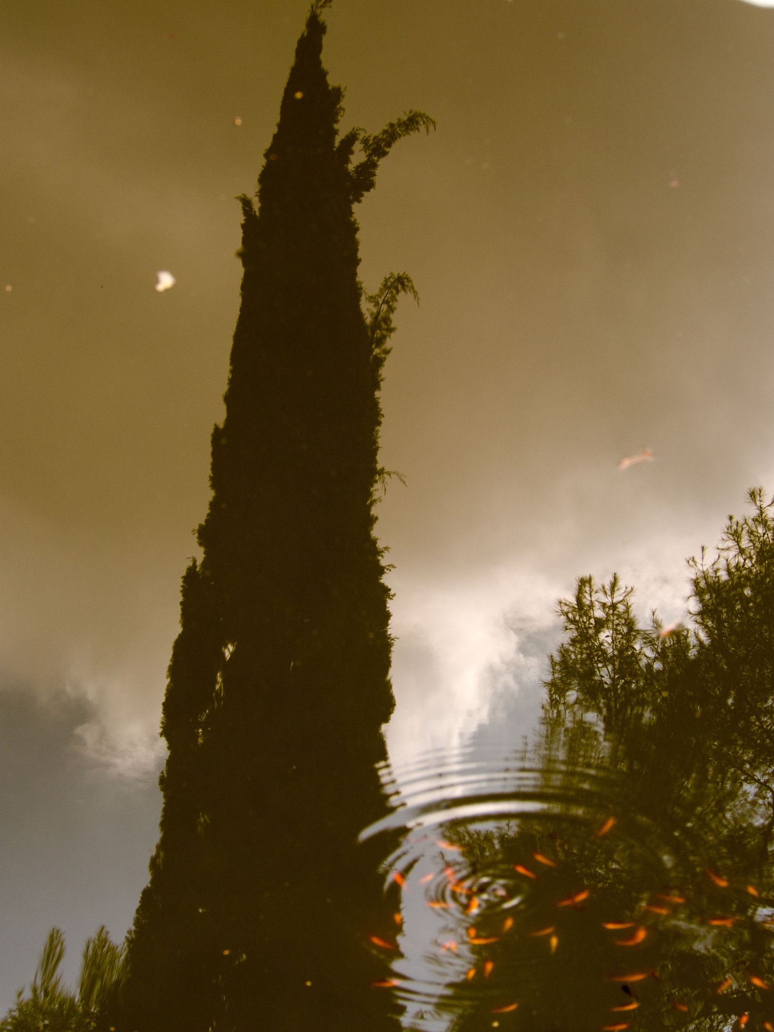 Olympus PEN E-PL5 sample photo. Illusion photography