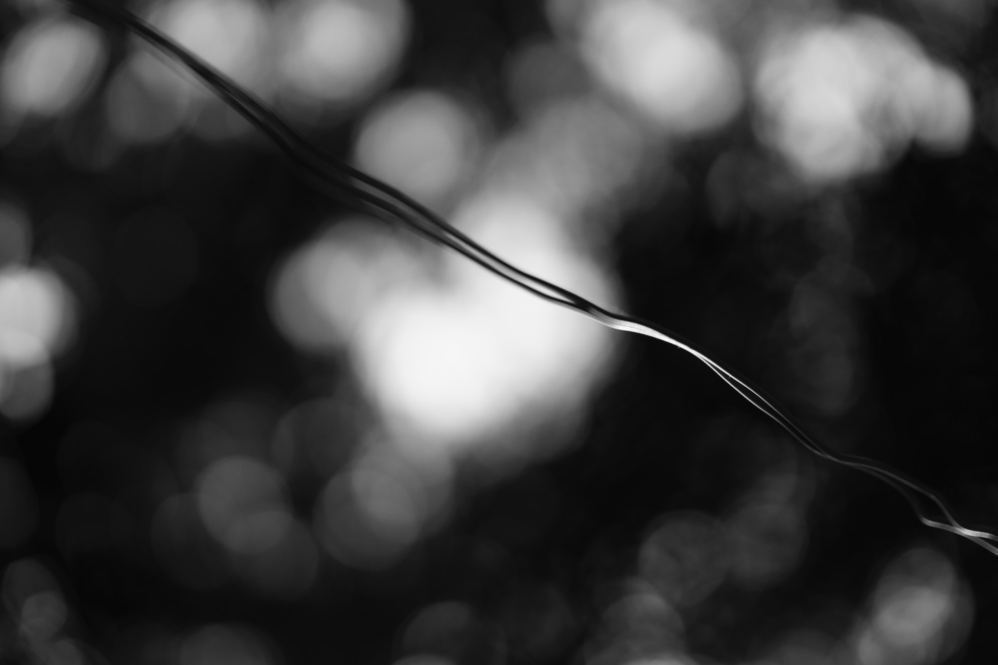 Sony FE 85mm F1.4 GM sample photo. Wire photography