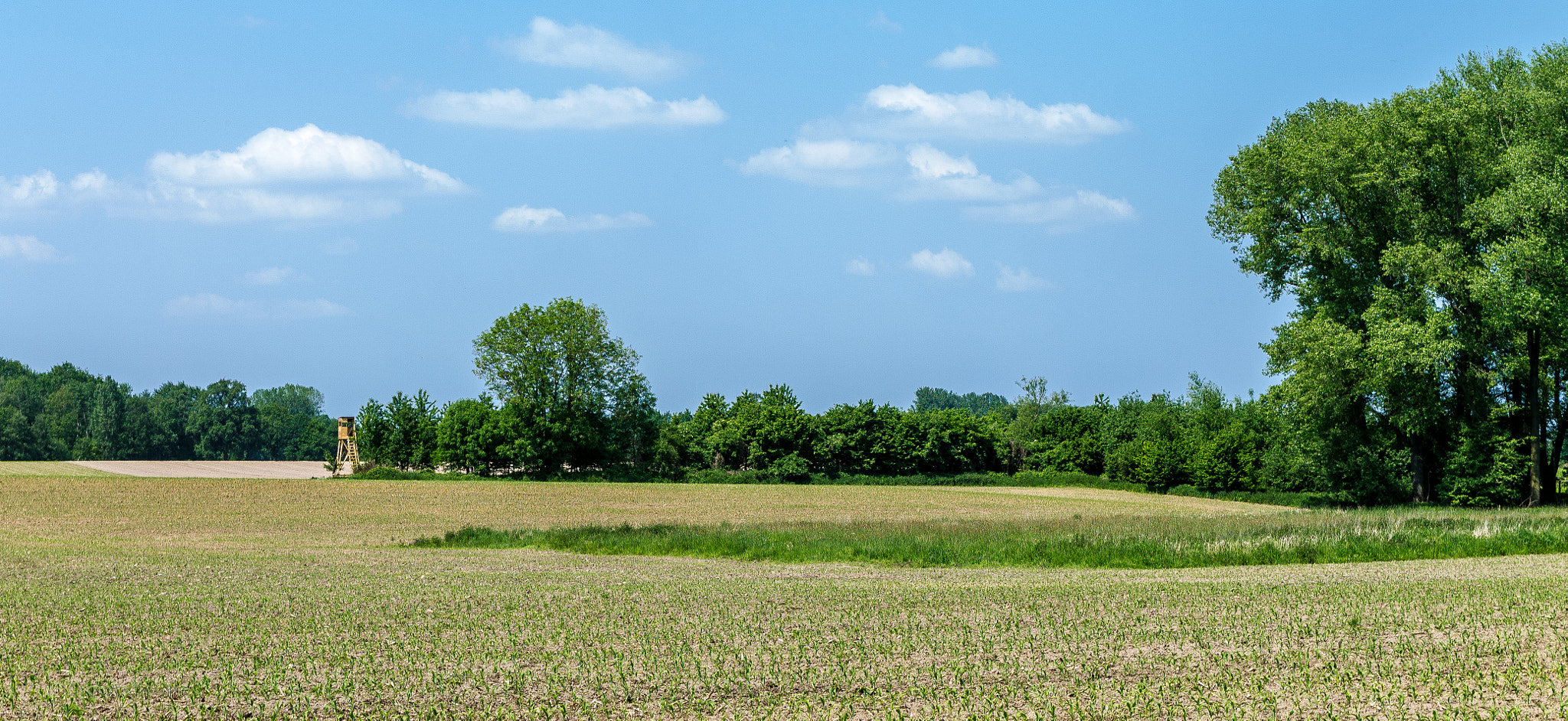 Canon EF-S 17-55mm F2.8 IS USM sample photo. Münsterland photography
