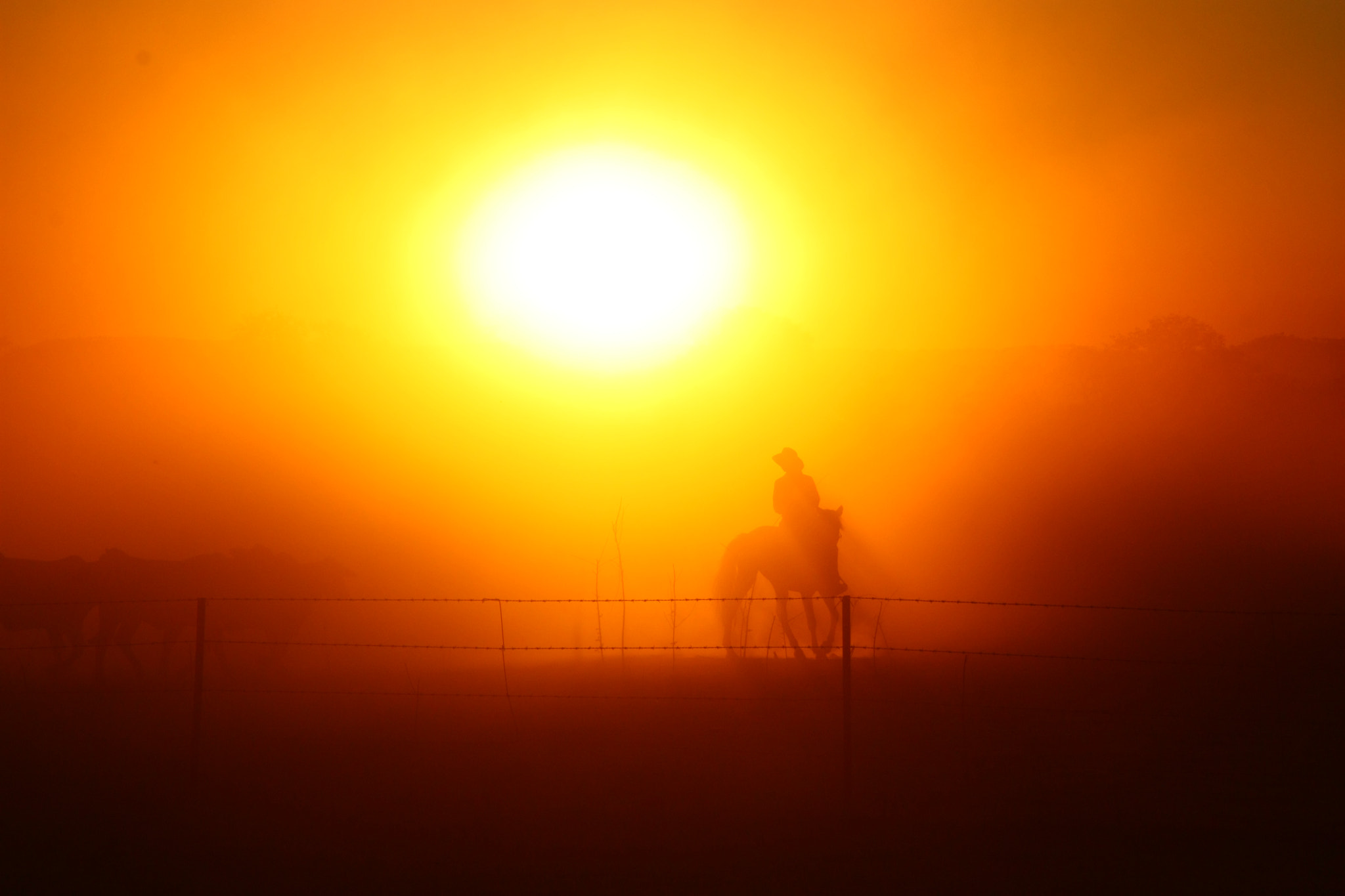 Canon EOS 450D (EOS Rebel XSi / EOS Kiss X2) sample photo. Cowboys of the nothern territory #1 photography