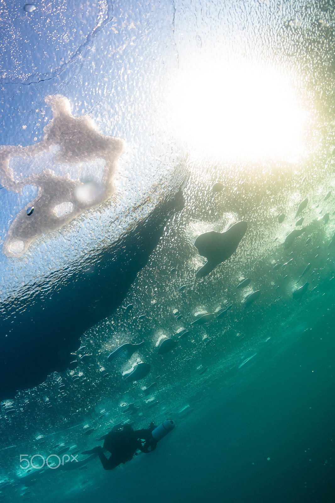 Canon EF 8-15mm F4L Fisheye USM sample photo. Icedive photography