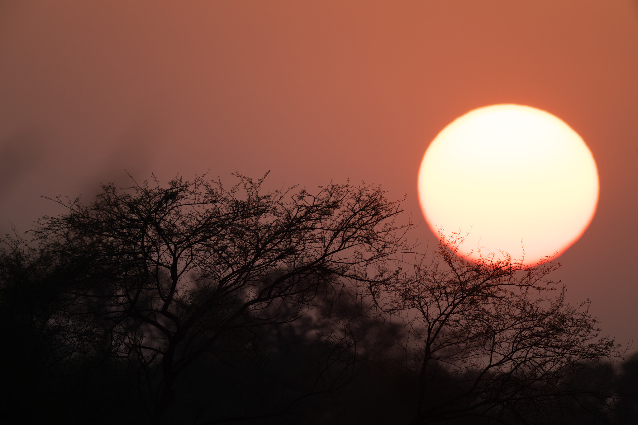 Nikon AF-S Nikkor 800mm F5.6E FL ED VR sample photo. Sunset photography