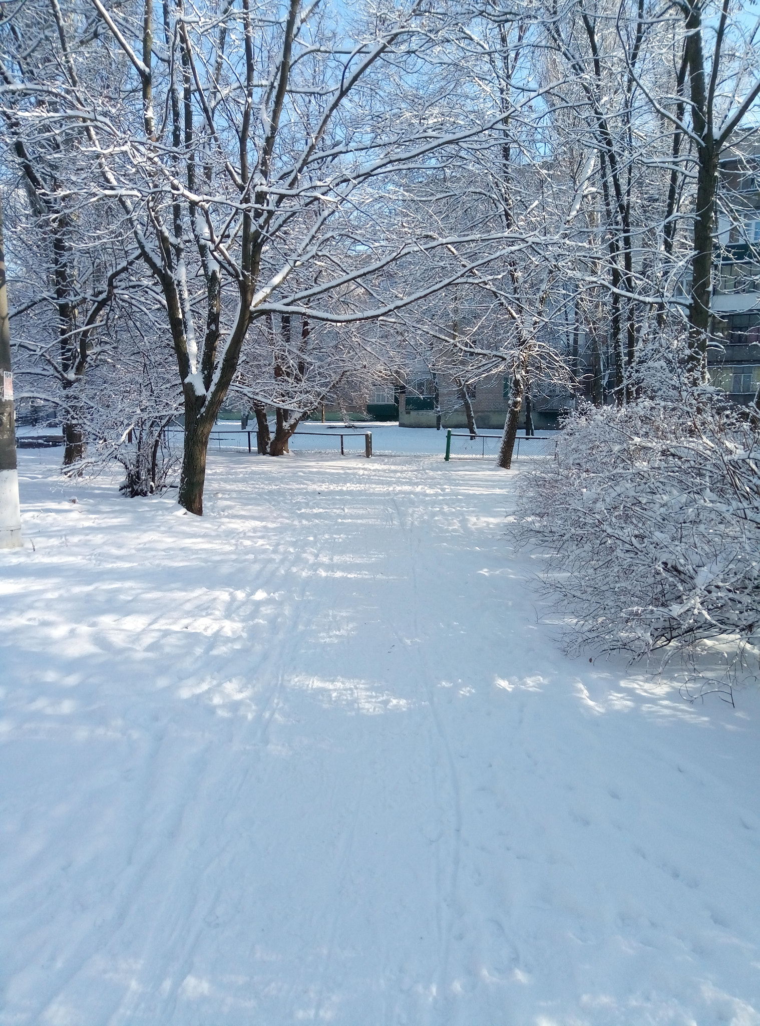 Meizu M3s sample photo. Winter photography