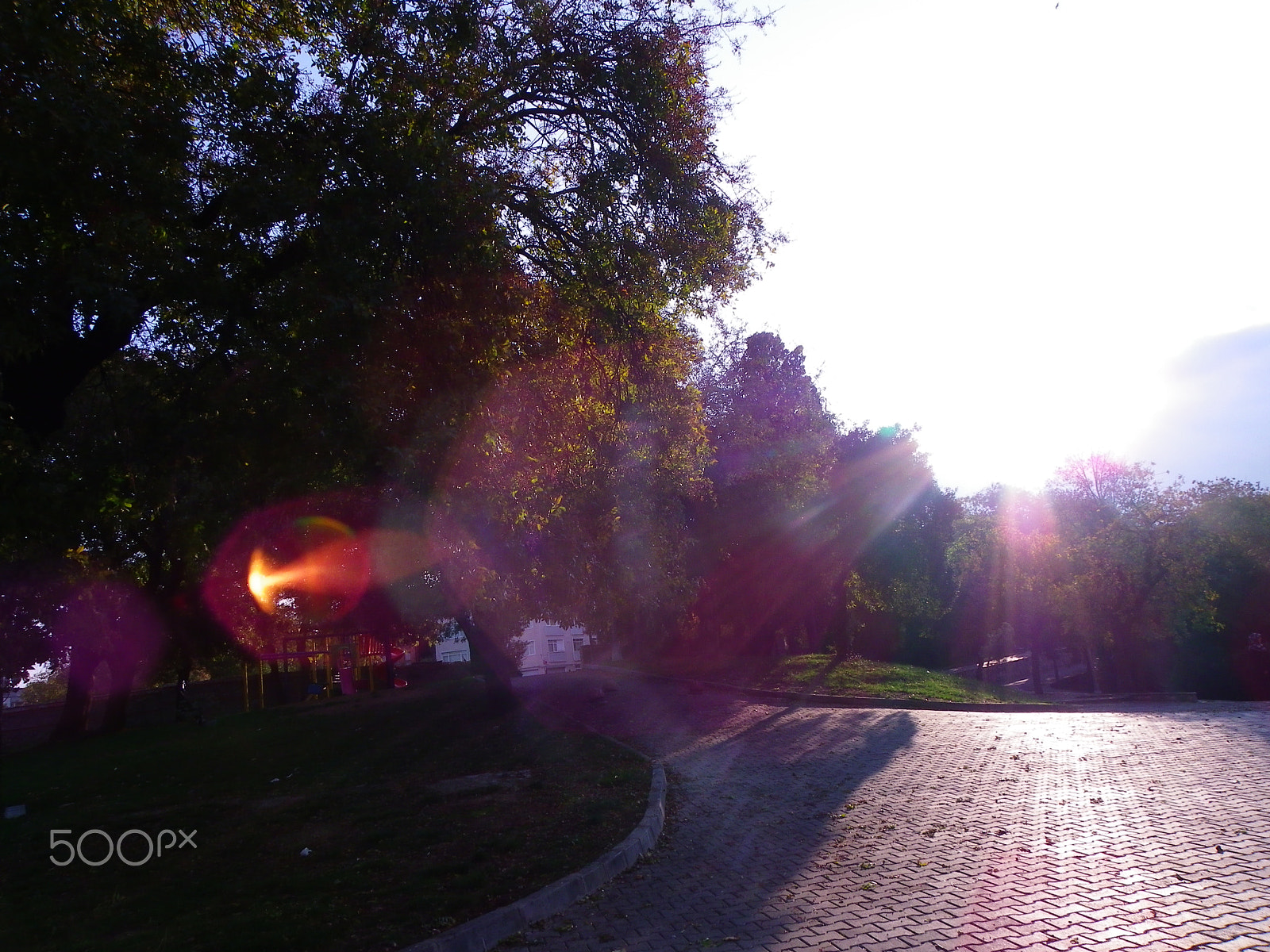 Pentax X90 sample photo. Sunshine photography