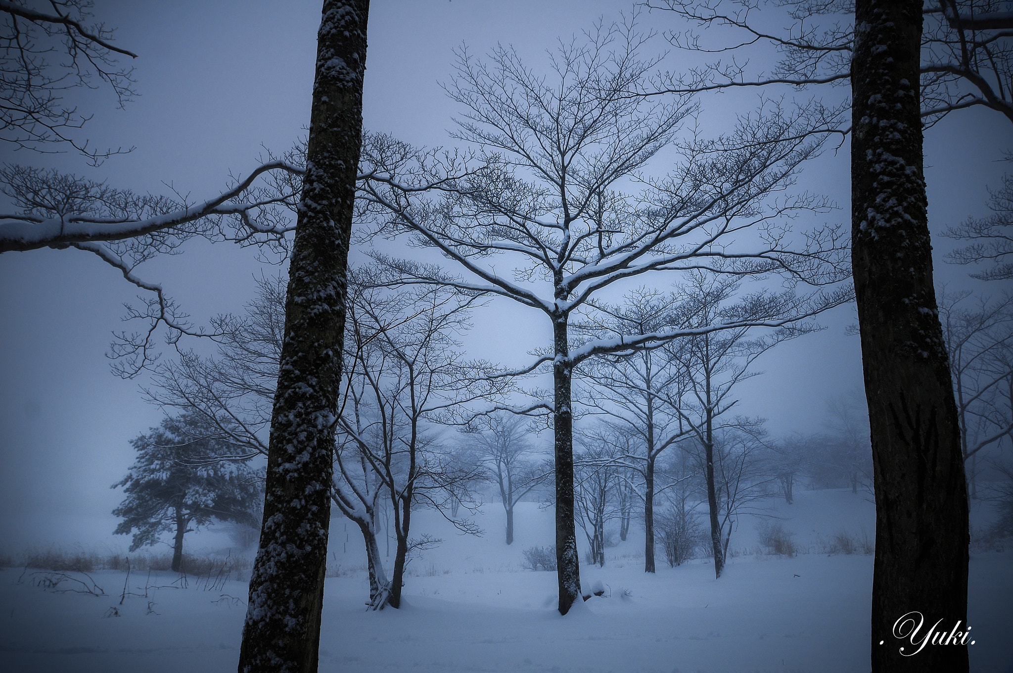 Nikon AF-S Nikkor 17-35mm F2.8D ED-IF sample photo. 内山牧場 冬 photography