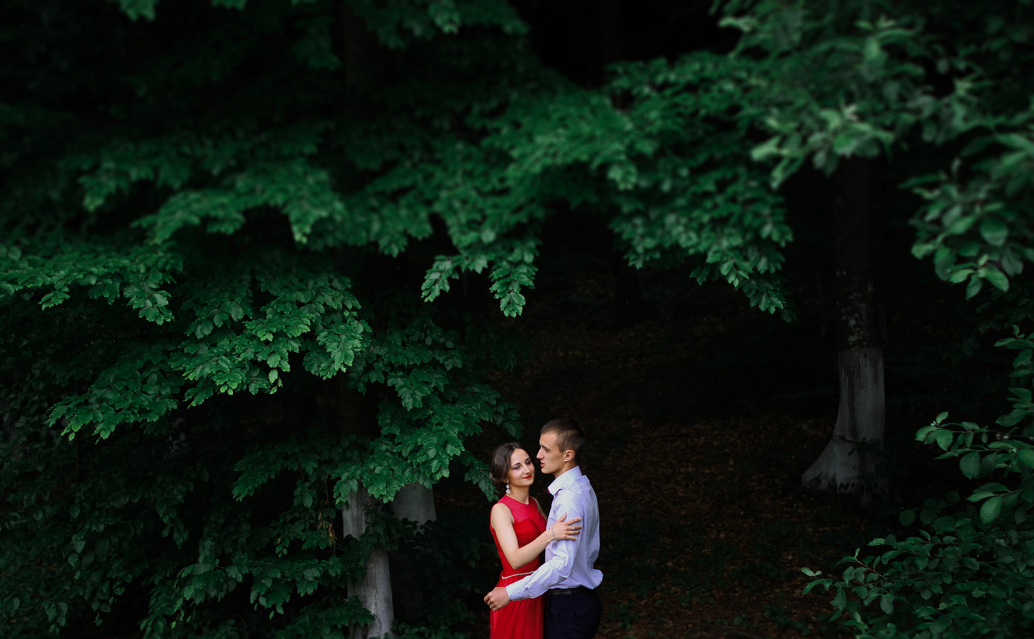 Sigma 30mm F1.4 EX DC HSM sample photo. Img photography