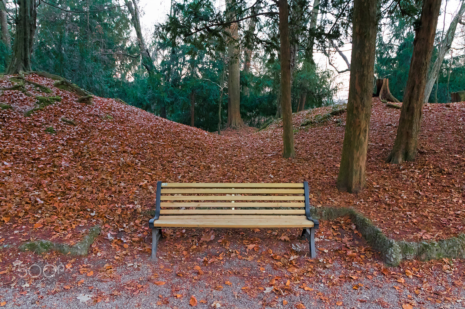 Sigma 17-70mm F2.8-4 DC Macro OS HSM sample photo. Park bench photography