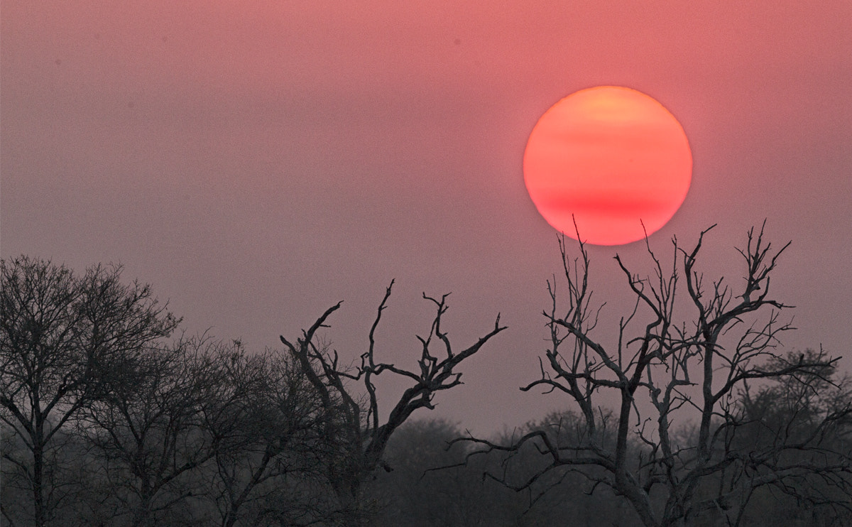 Canon EOS-1D Mark IV sample photo. Knpngwenyasunset photography