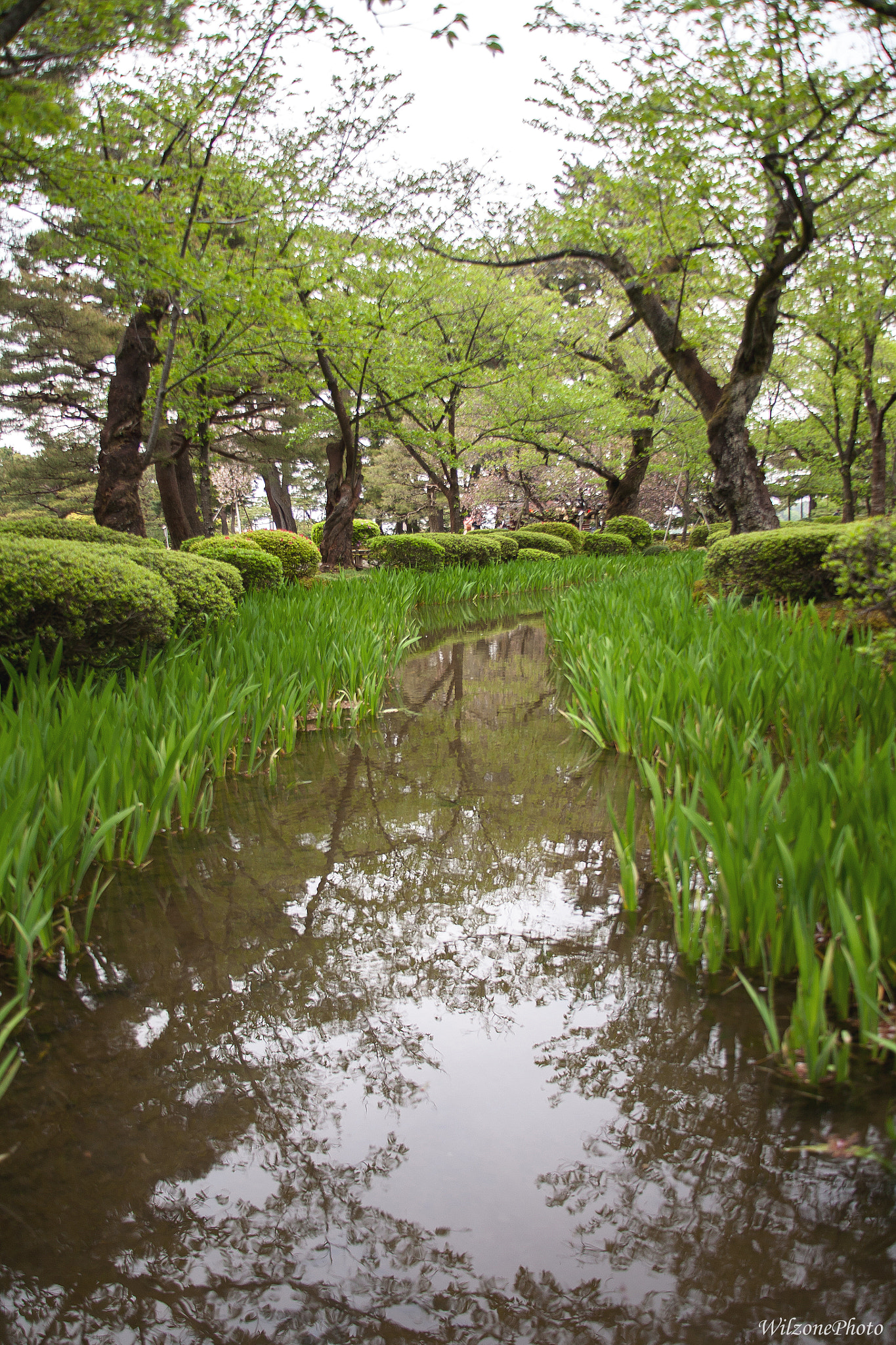 Canon EF 28-135mm F3.5-5.6 IS USM sample photo. Kanazawa 191 photography
